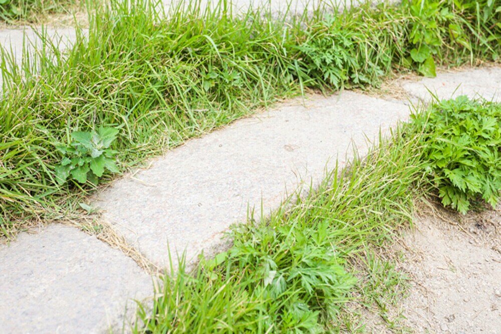 Фото Samcheongdong Korea Guest House