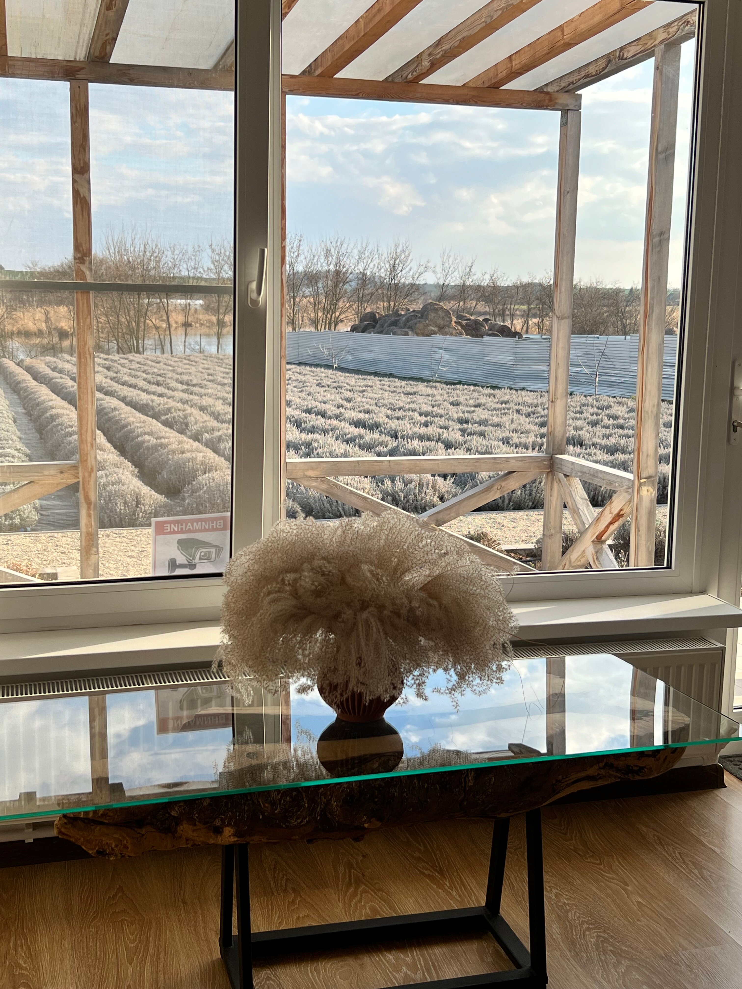 Фото Лавандовые холмы