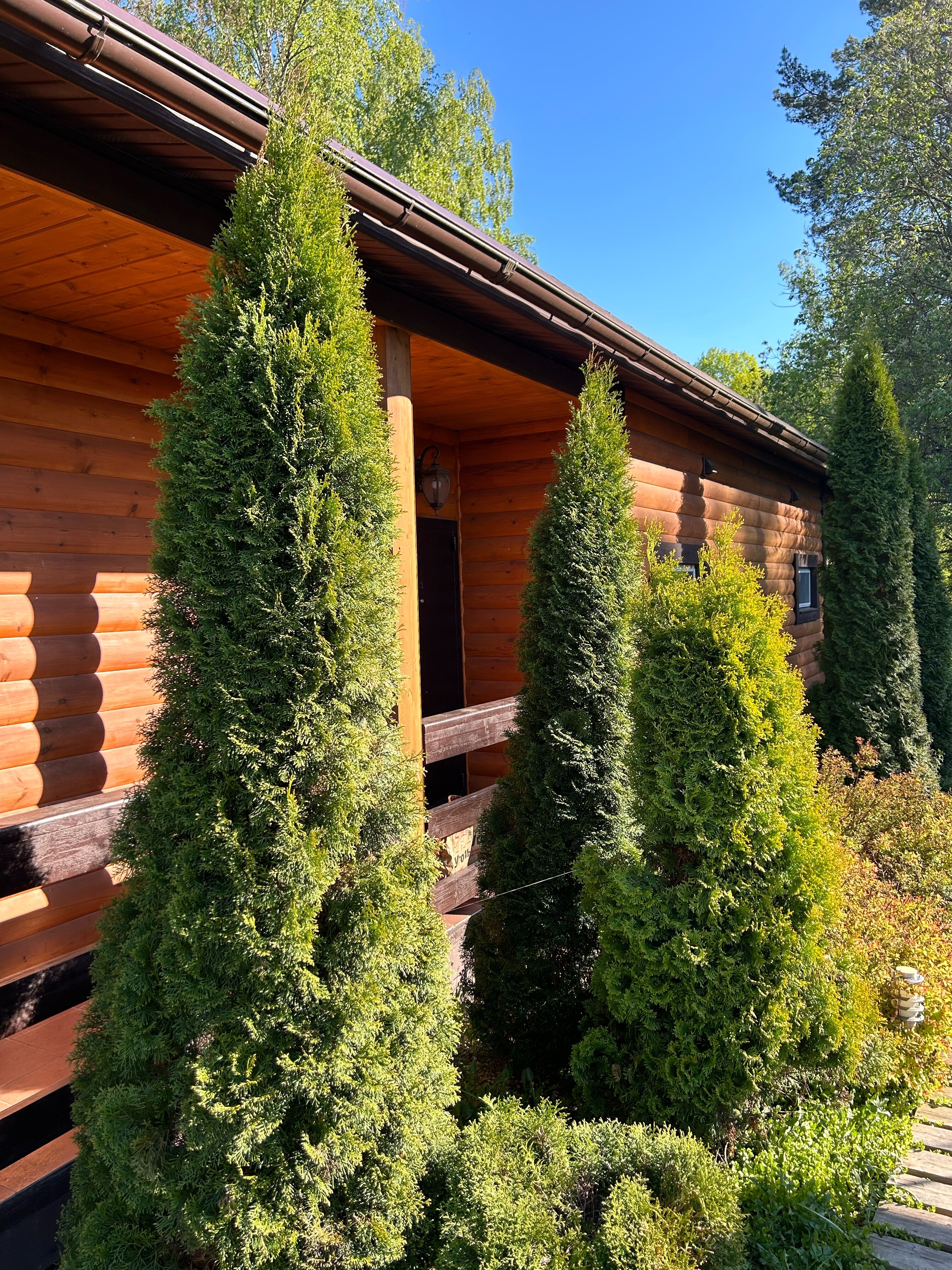 Фото Три медведя