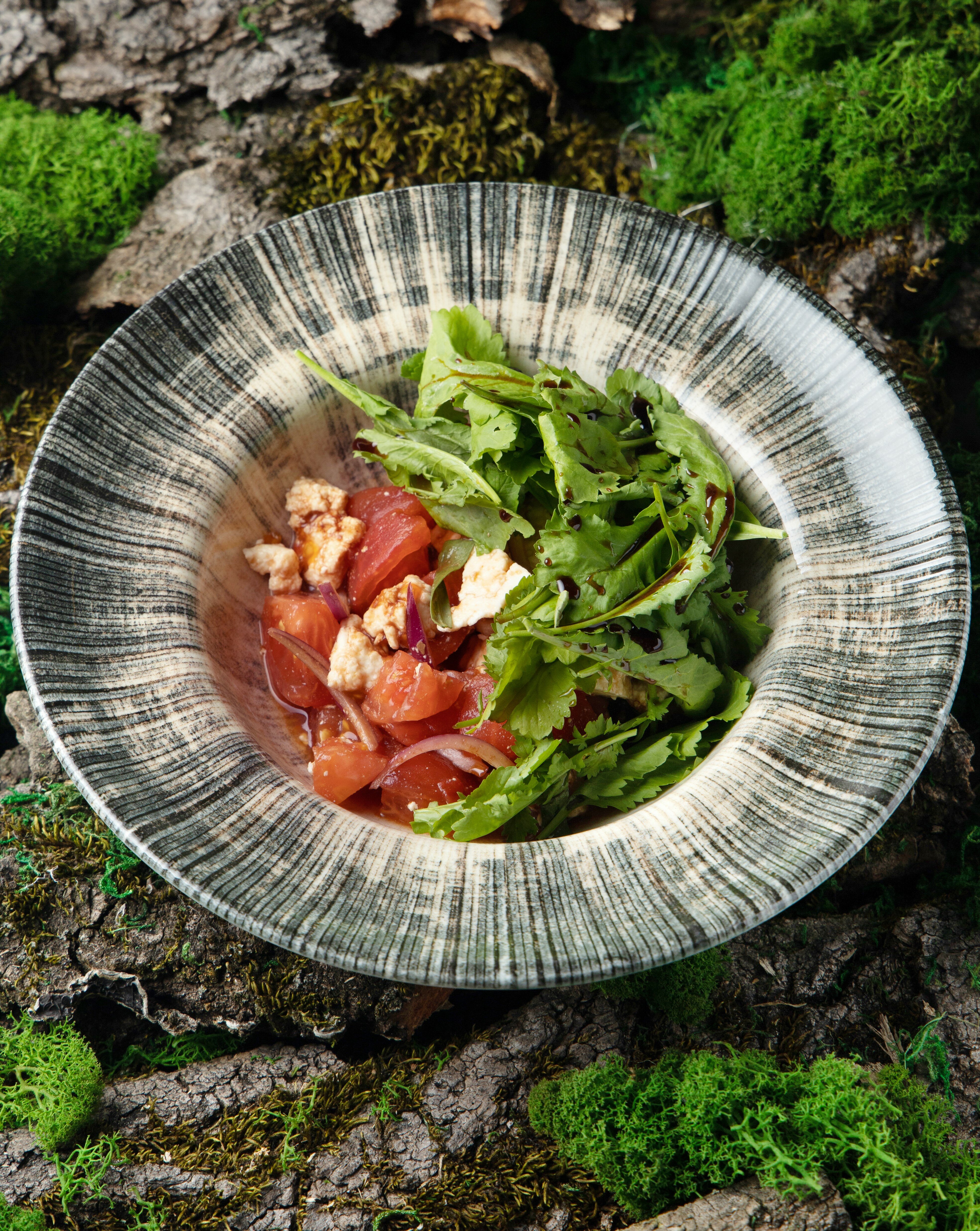 Фото Кедровый бор