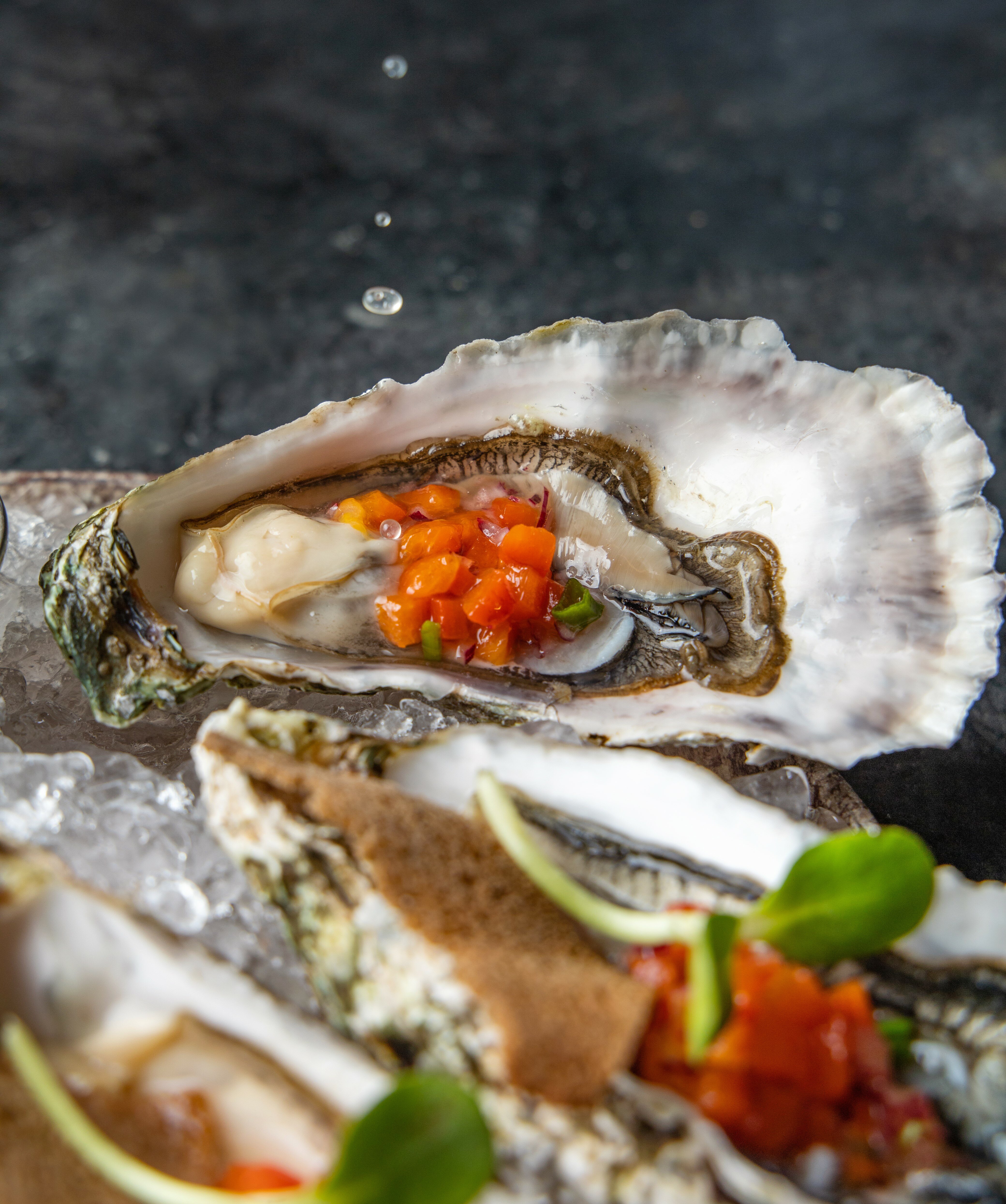 Фото Кедровый бор