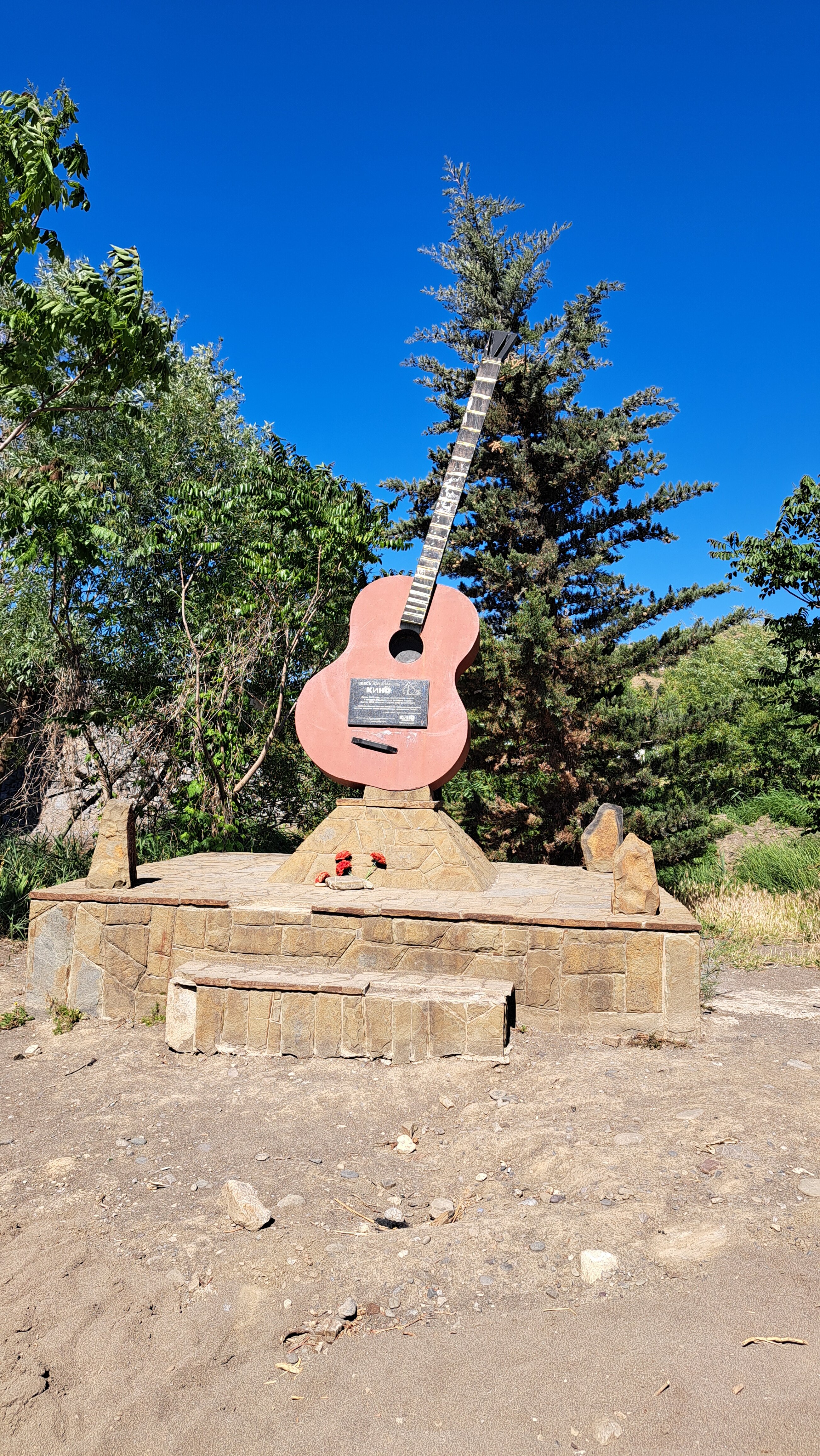 Фото Витязь