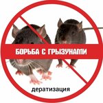 БлокадаДЕЗ (Пушкинская ул., 52), дезинфекция, дезинсекция, дератизация в Вологде