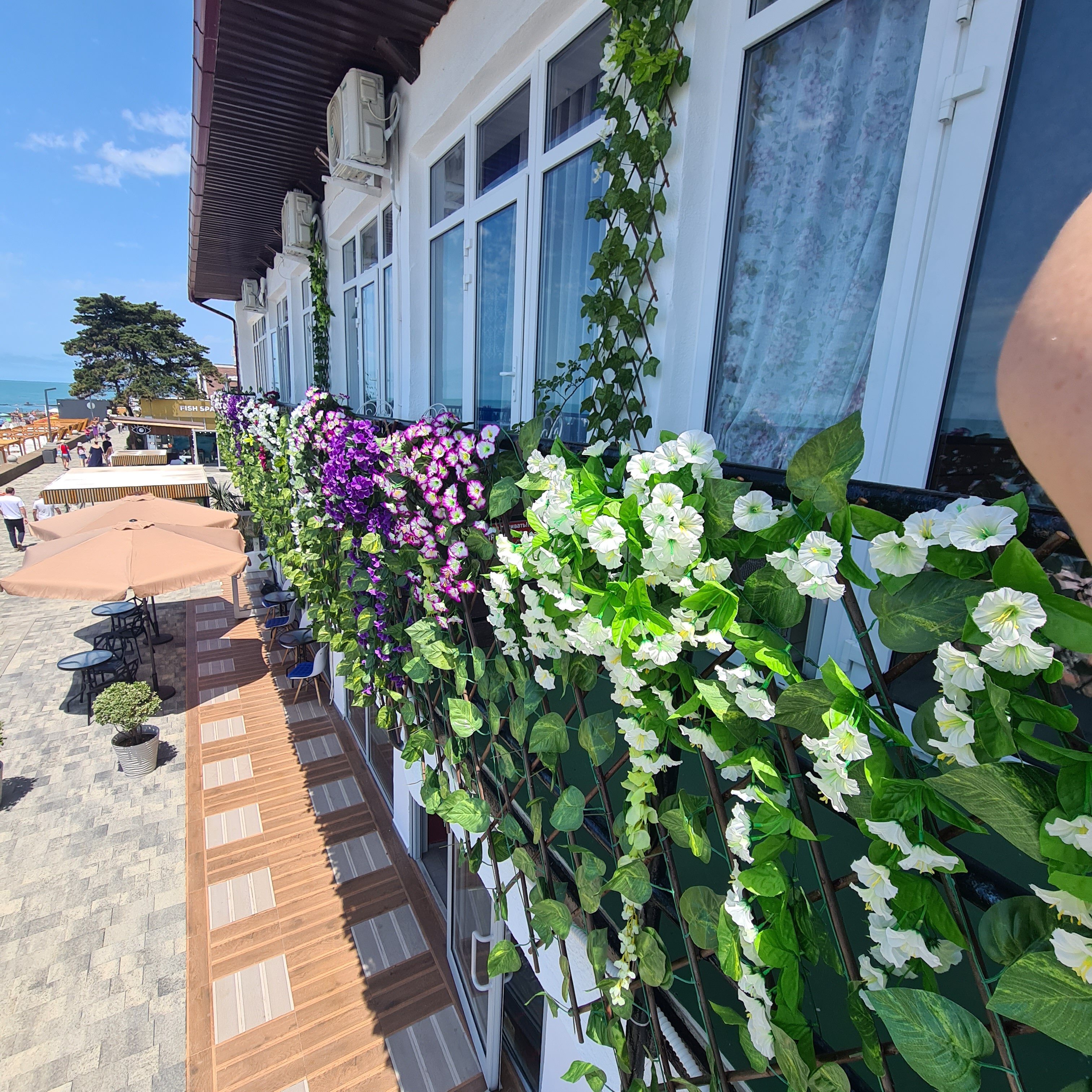 Фото Алёнка