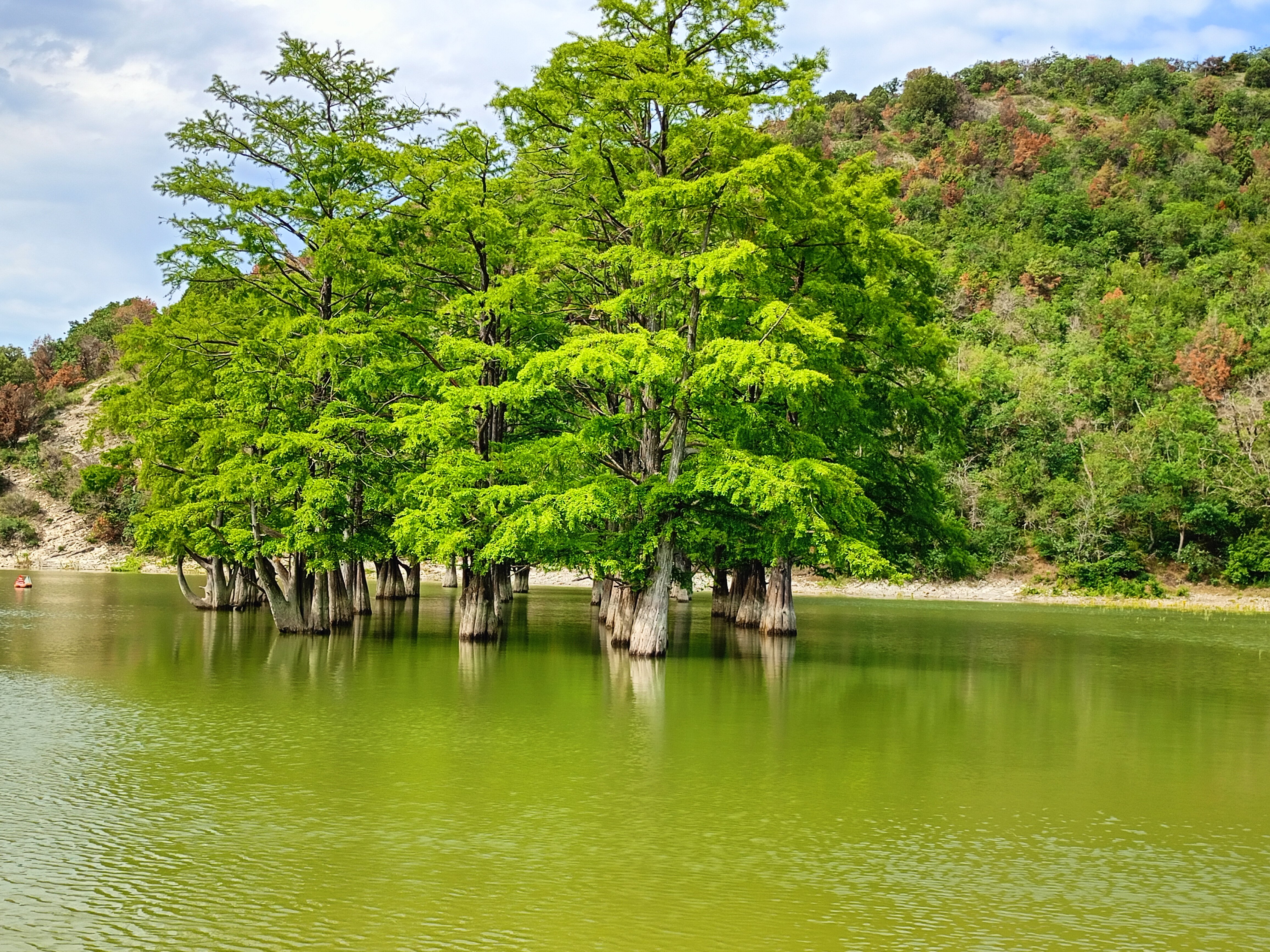 Фото Усадьба Сукко