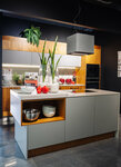 Pervaya Mebelnaya fabrika (Lakhtinskiy Avenue, 85В) ، أثاث المطبخ