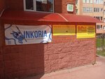 Бухгалтерское обслуживание бизнеса (Ostrovskogo Street, 20), accountants