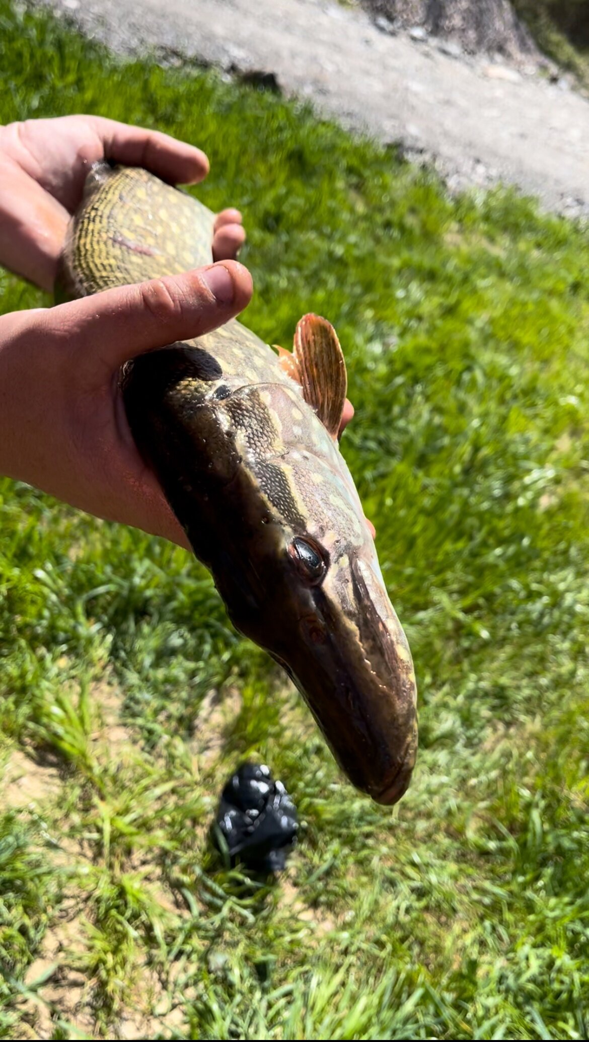 Фото Уркуста-парк