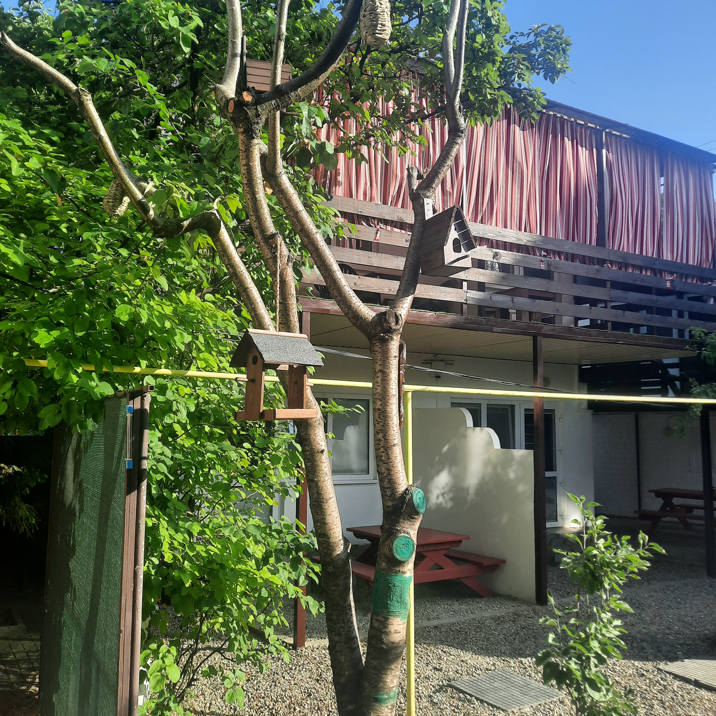 Фото Гостевой дом на Горького