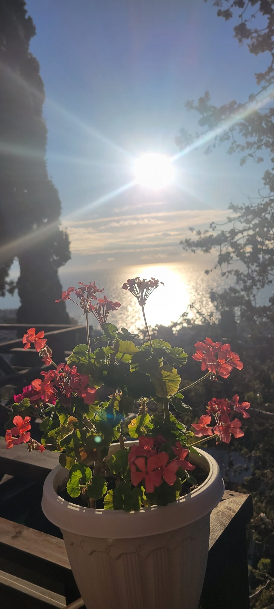 Фото Villa V&Italiya