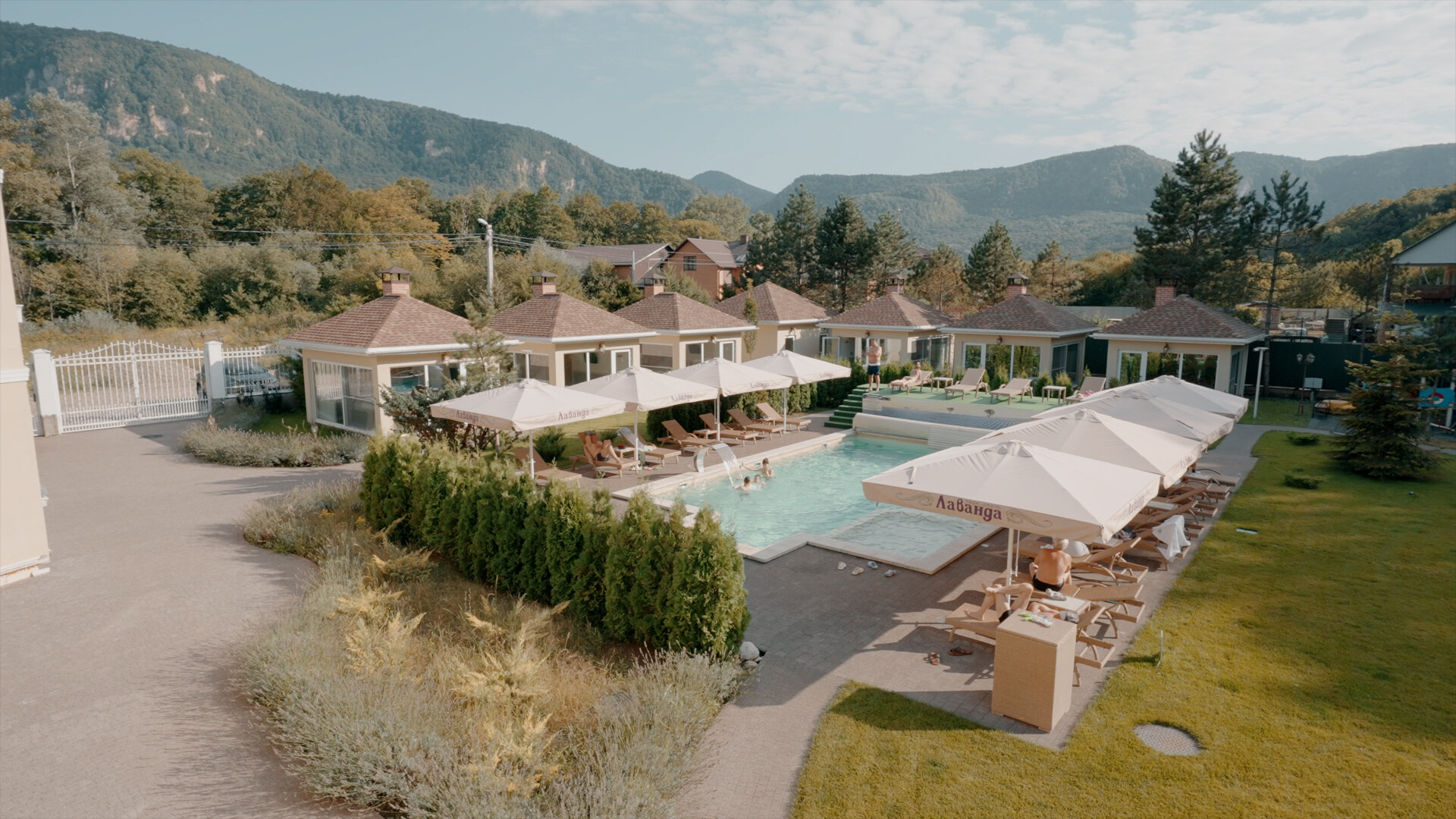 Фото Лаванда