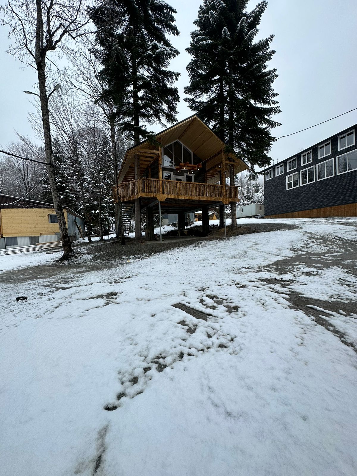 Фото Аргали