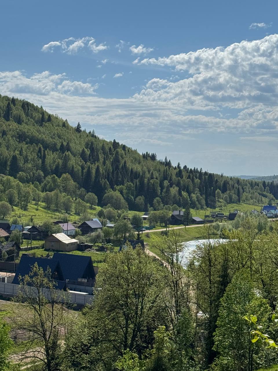 Фото Берег Сарвы