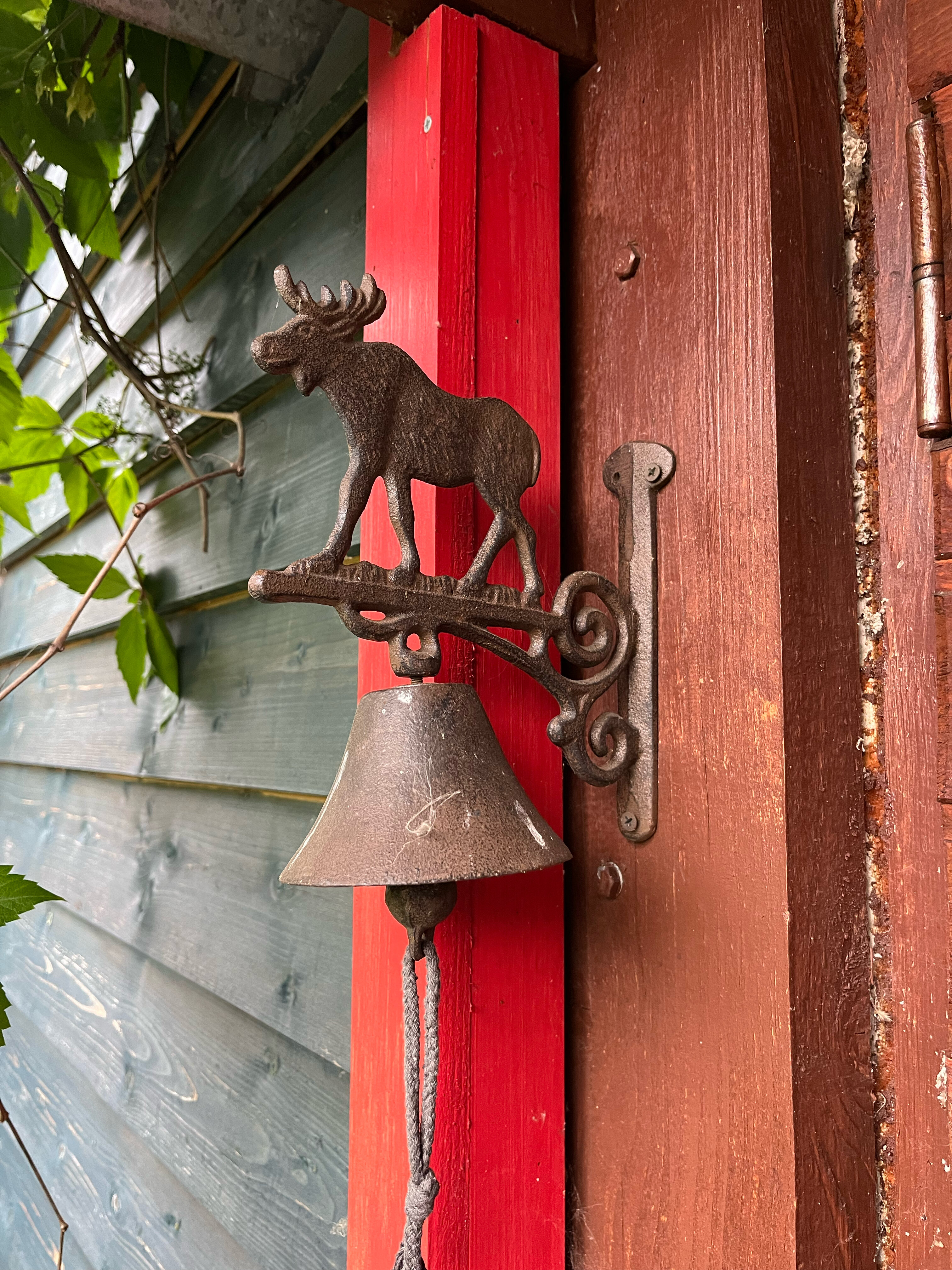 Фото Лосиный тупичок