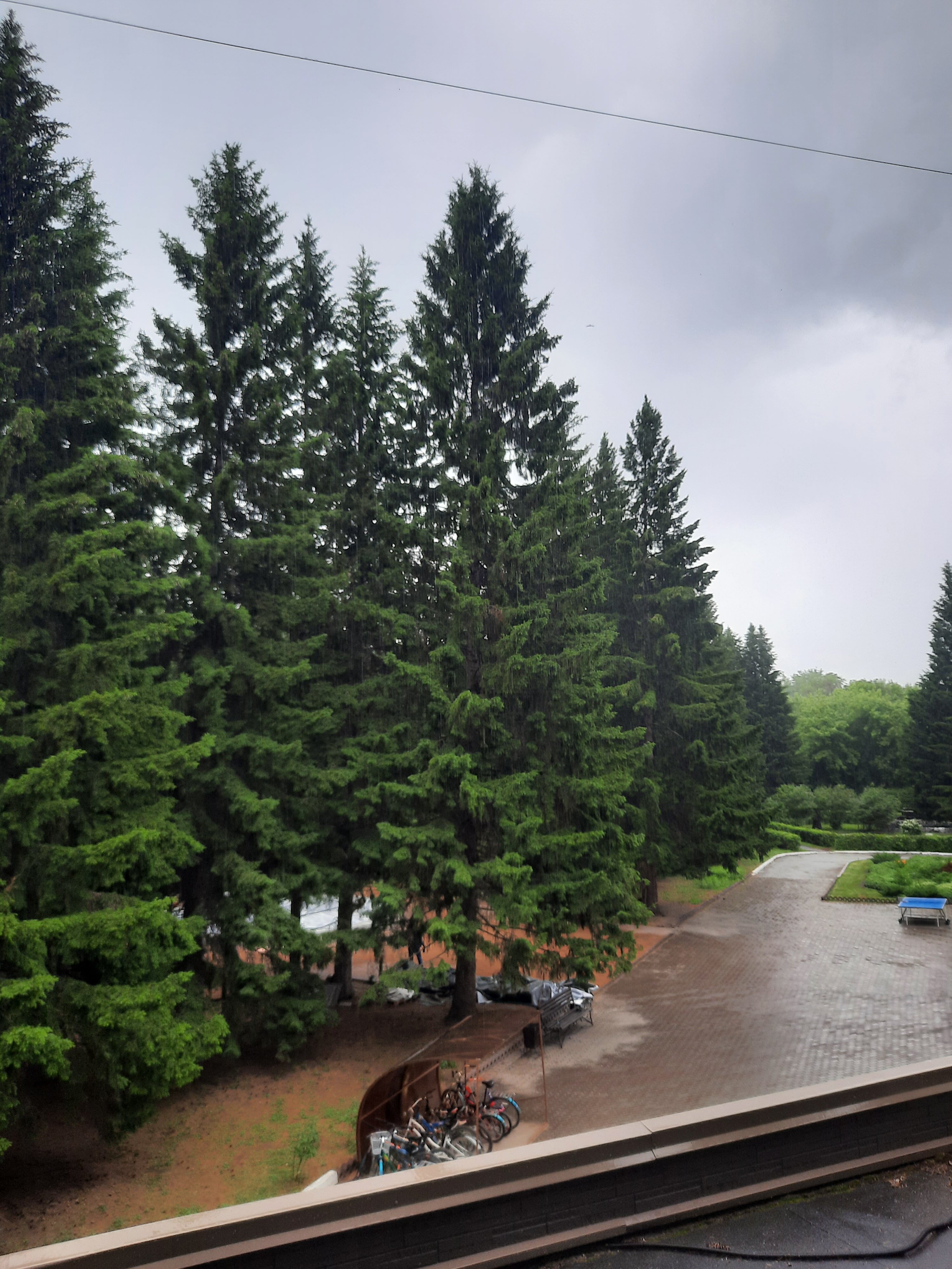 Фото Рассвет