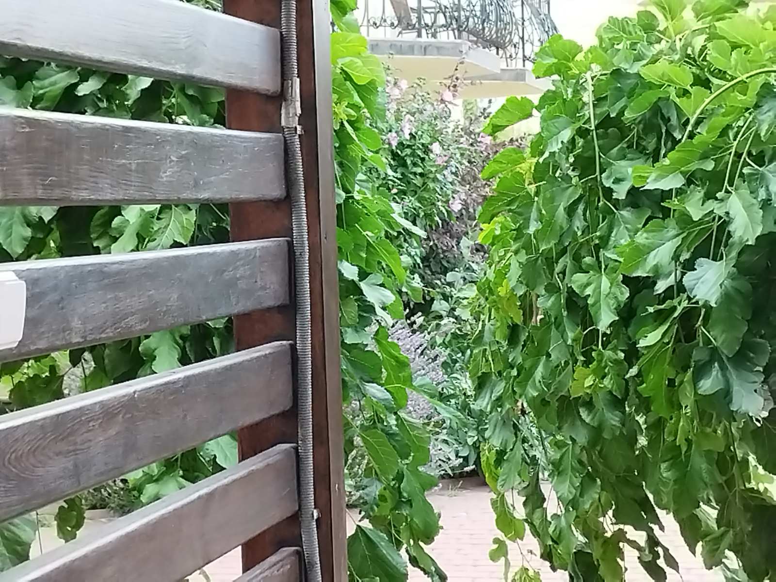 Фото Вилла Ева