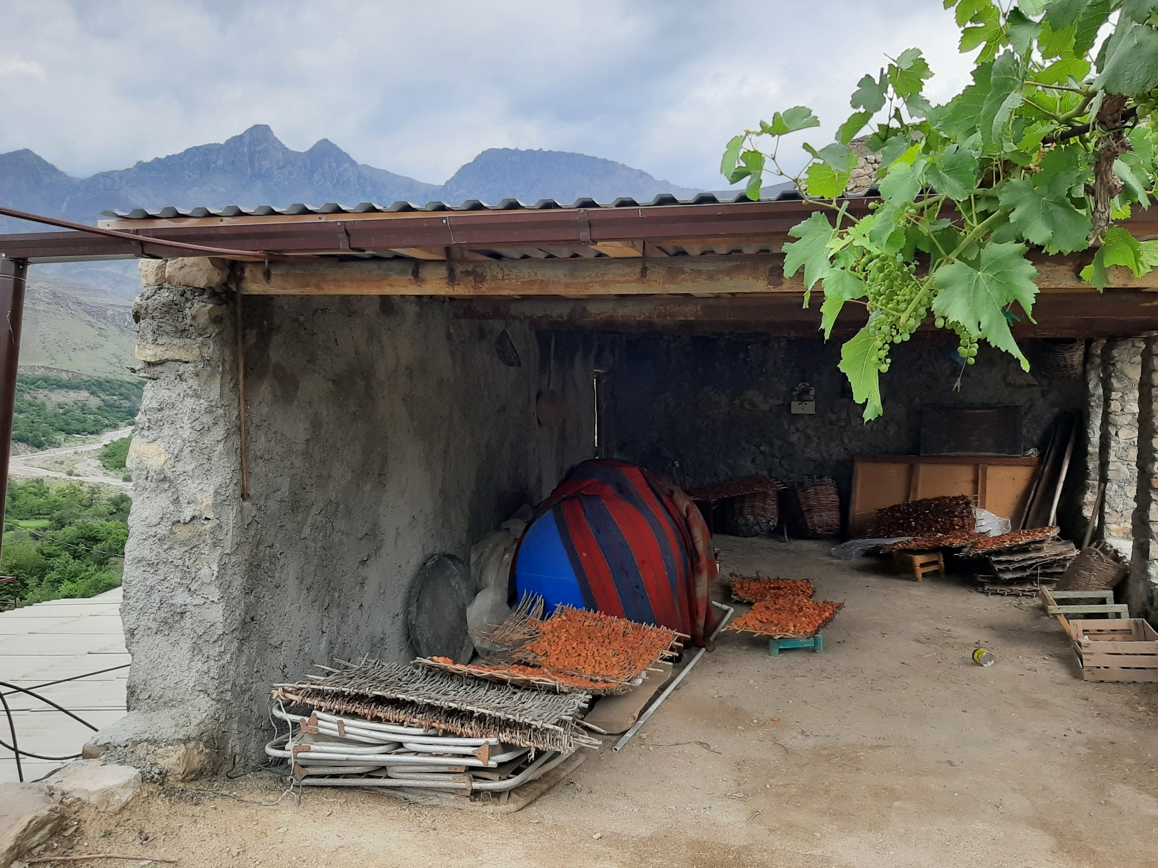 Фото МириДа