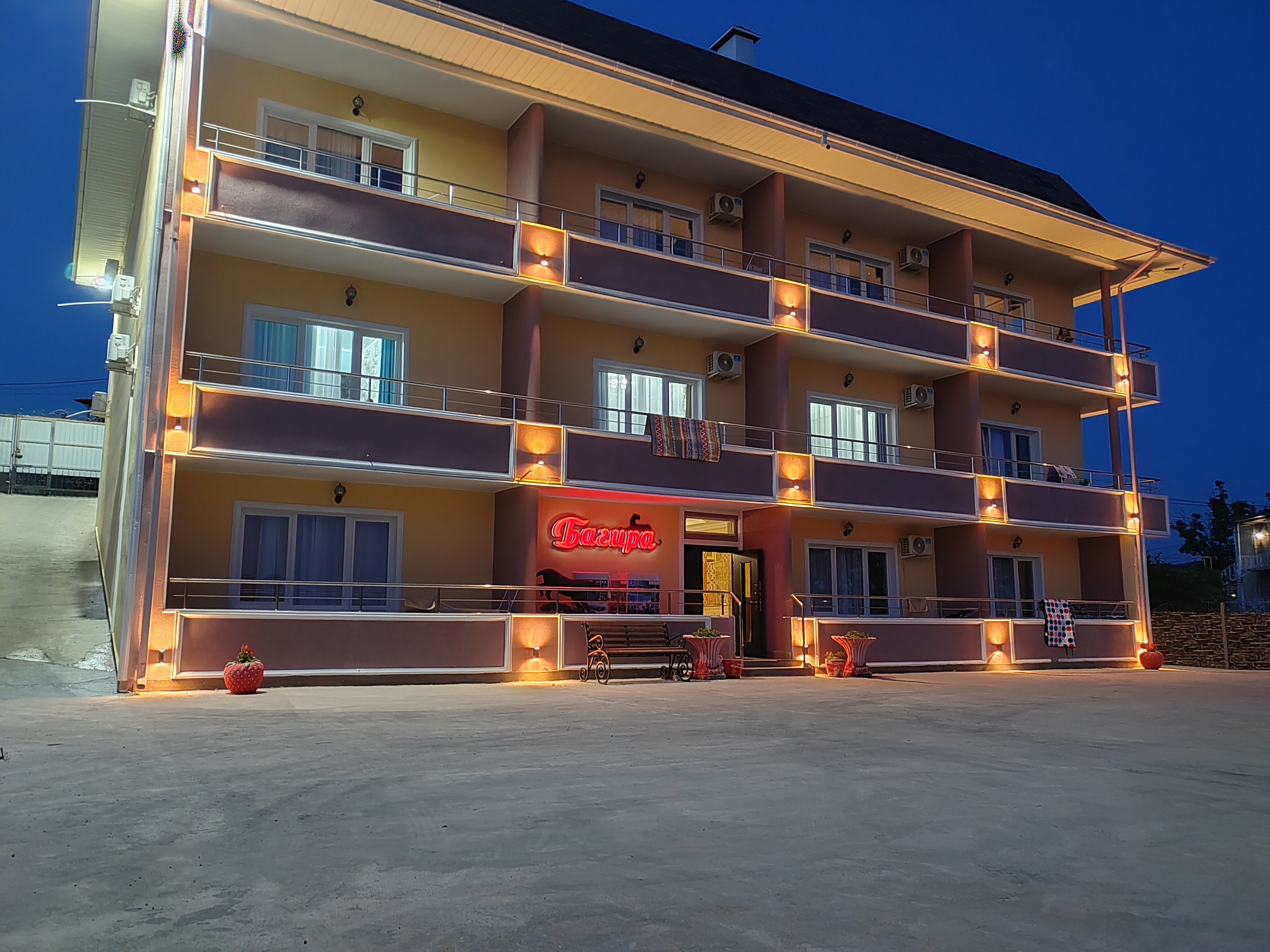 Фото Багира