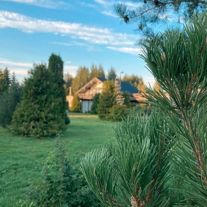 Фото Давинчи Парк