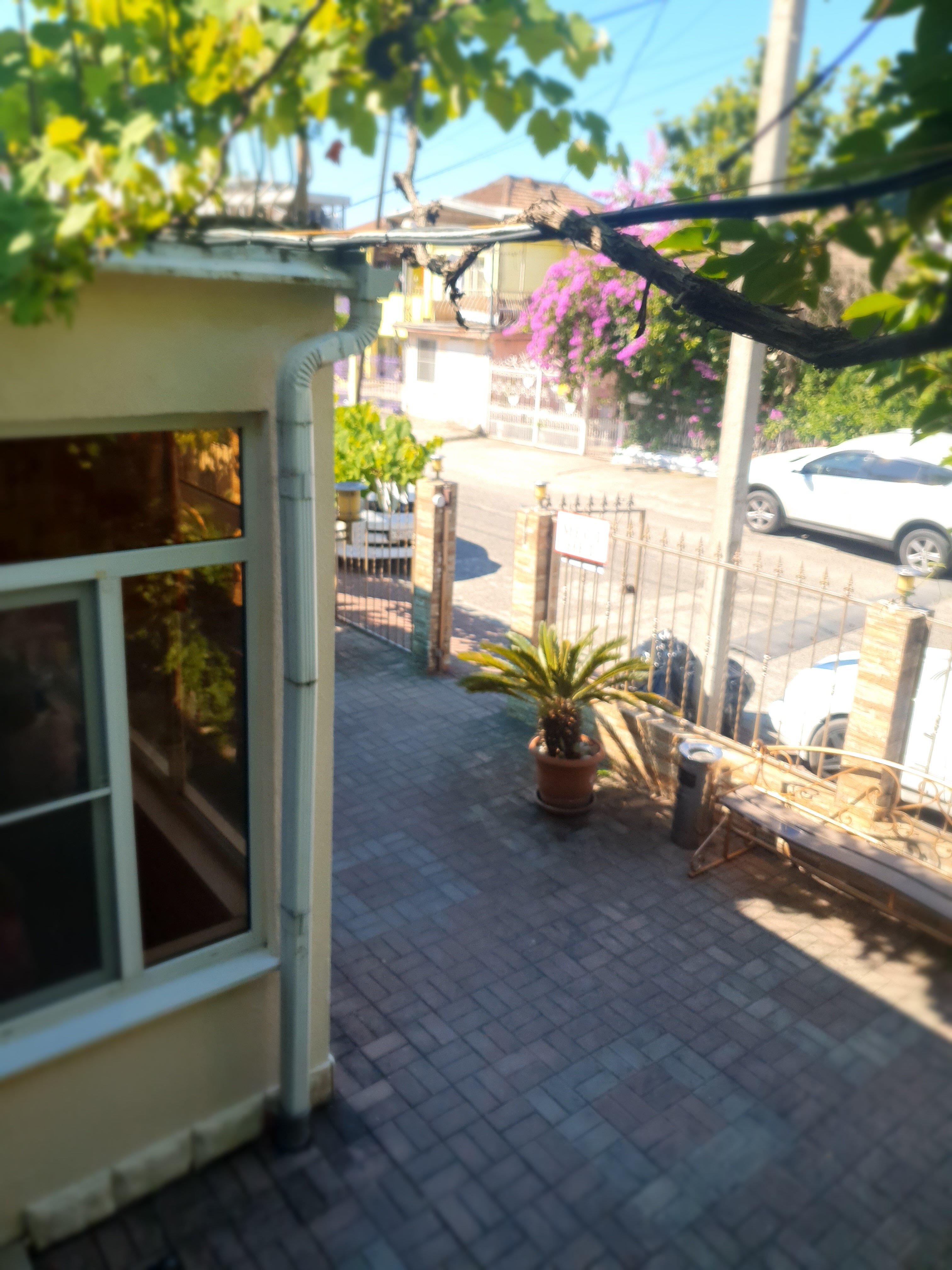 Фото Мини-гостиница Marco Club