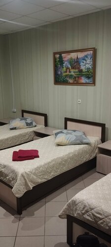 Hotel Hotel Ruzhansky, Brest District, photo