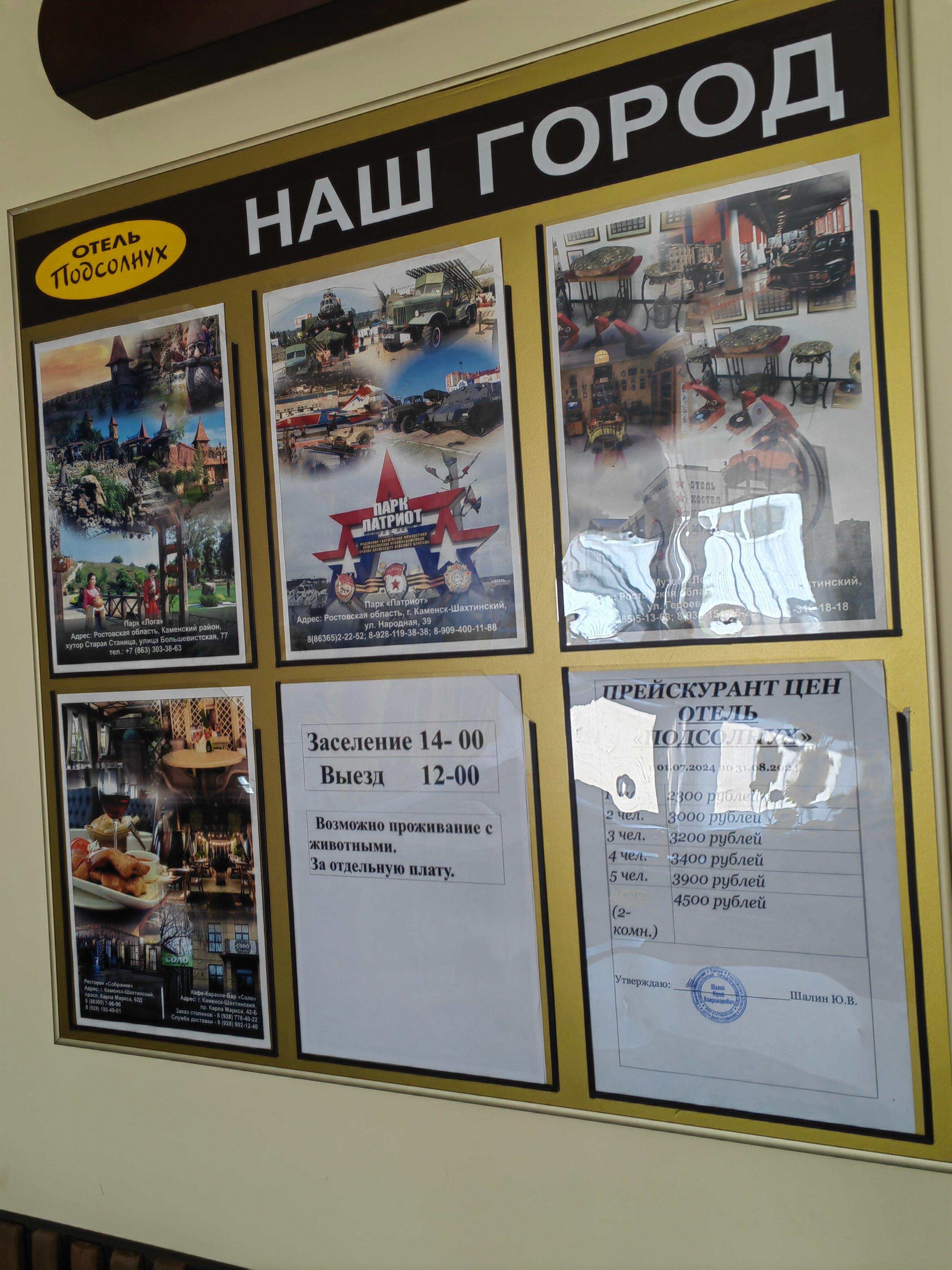 Фото Подсолнух