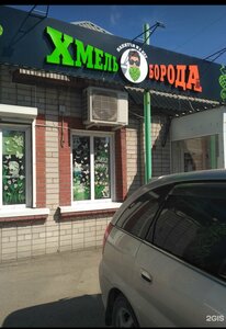 Hops beard (pereulok Ulezhnikova, 30), beer shop