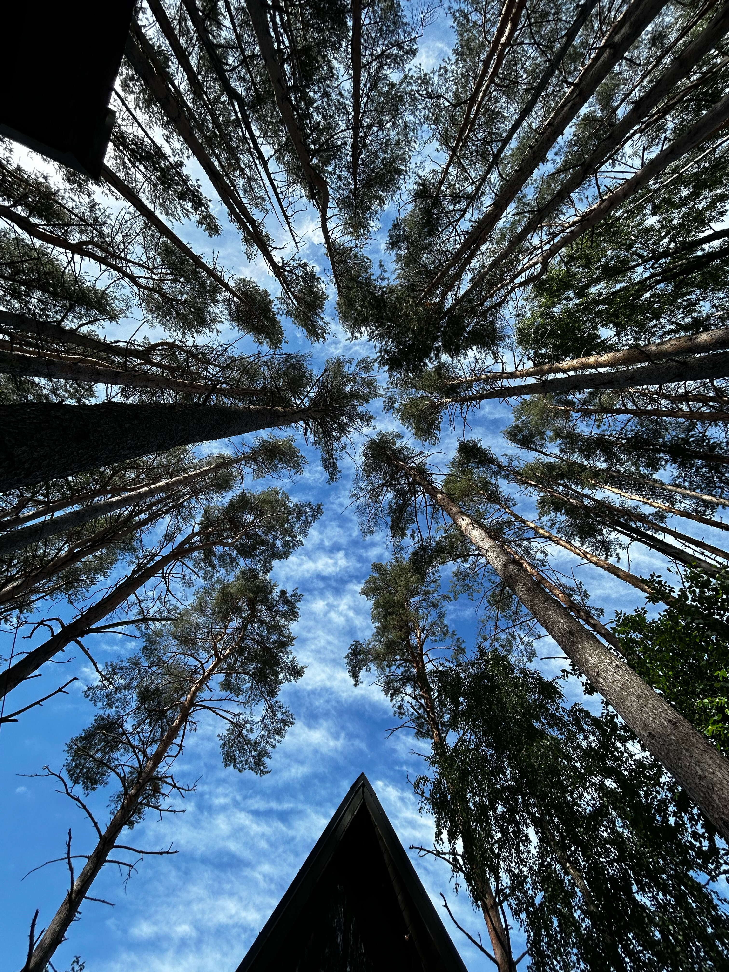 Фото Ривер Хаус