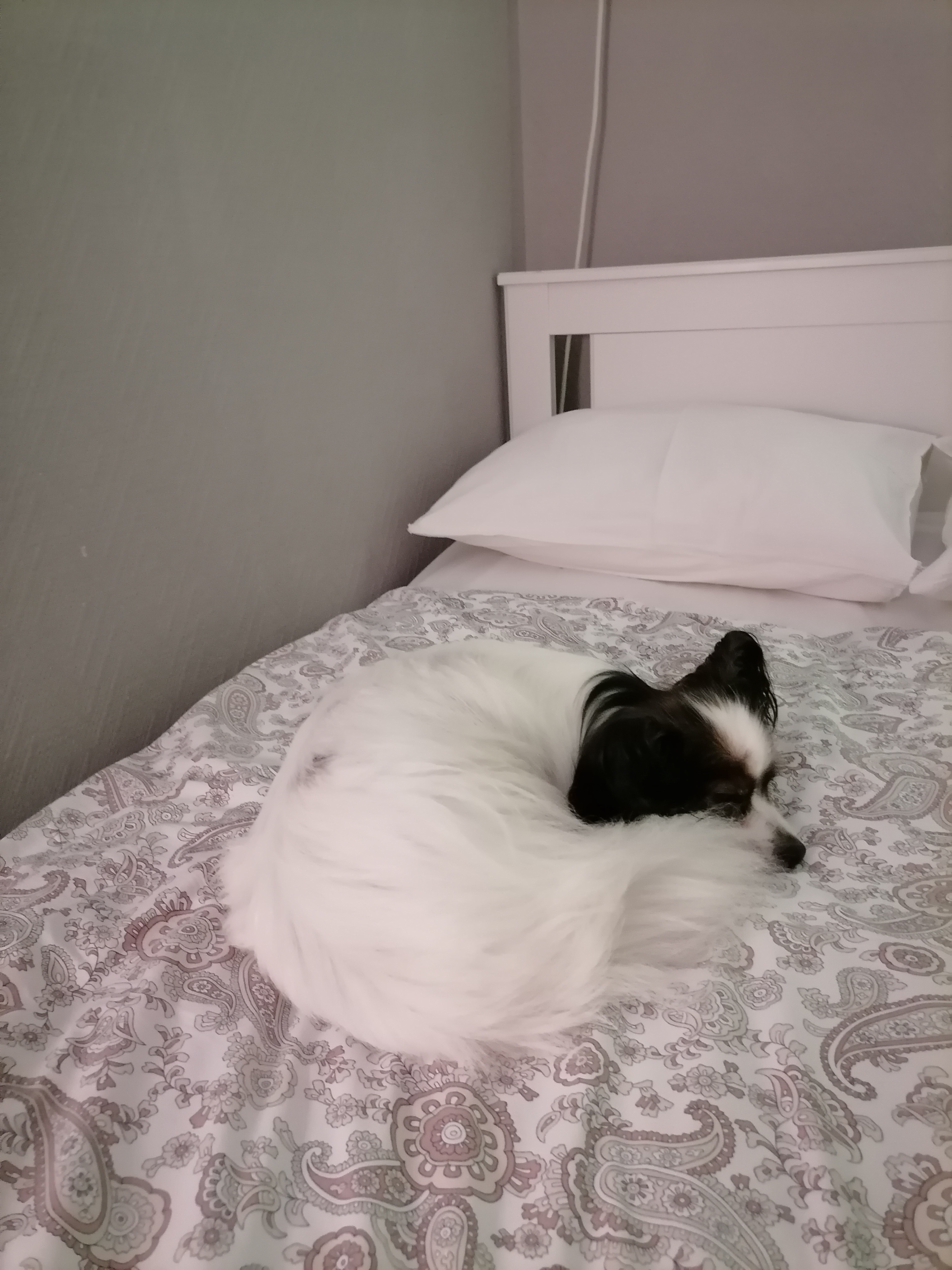 Фото Есенин