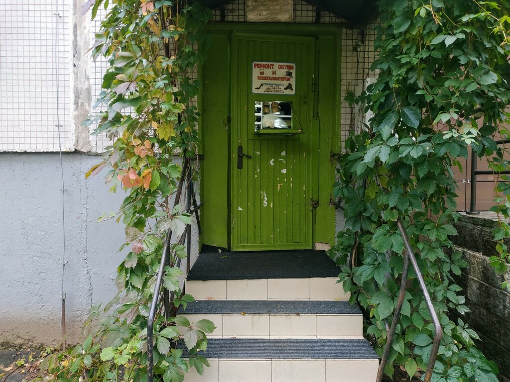 تصليح الأحذية Ремонт обуви ، ، صورة