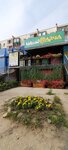 Nasha Dacha (Gorkogo Street, 100) ، متجر البذور