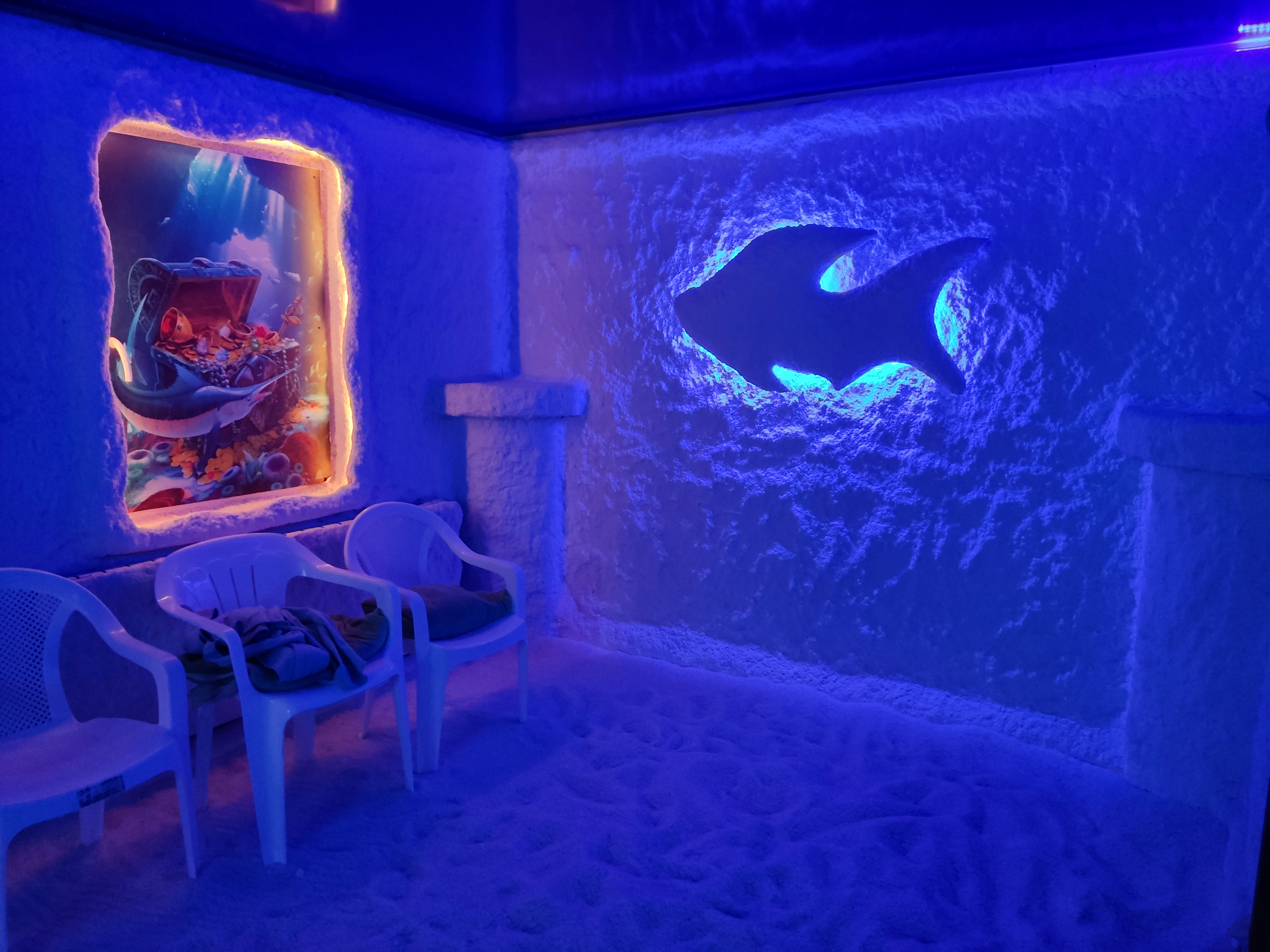 Фото Спутник