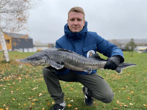 Дом отдыха Кутузово в Домодедово