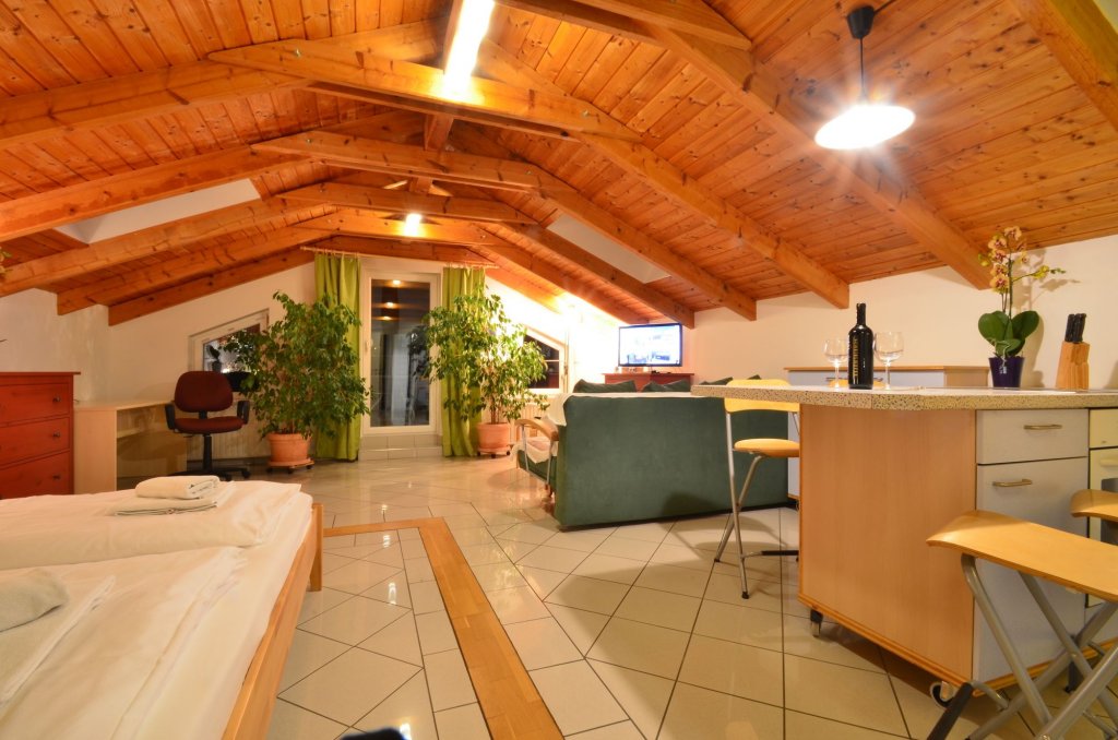 Фото Ajo Apartments Danube