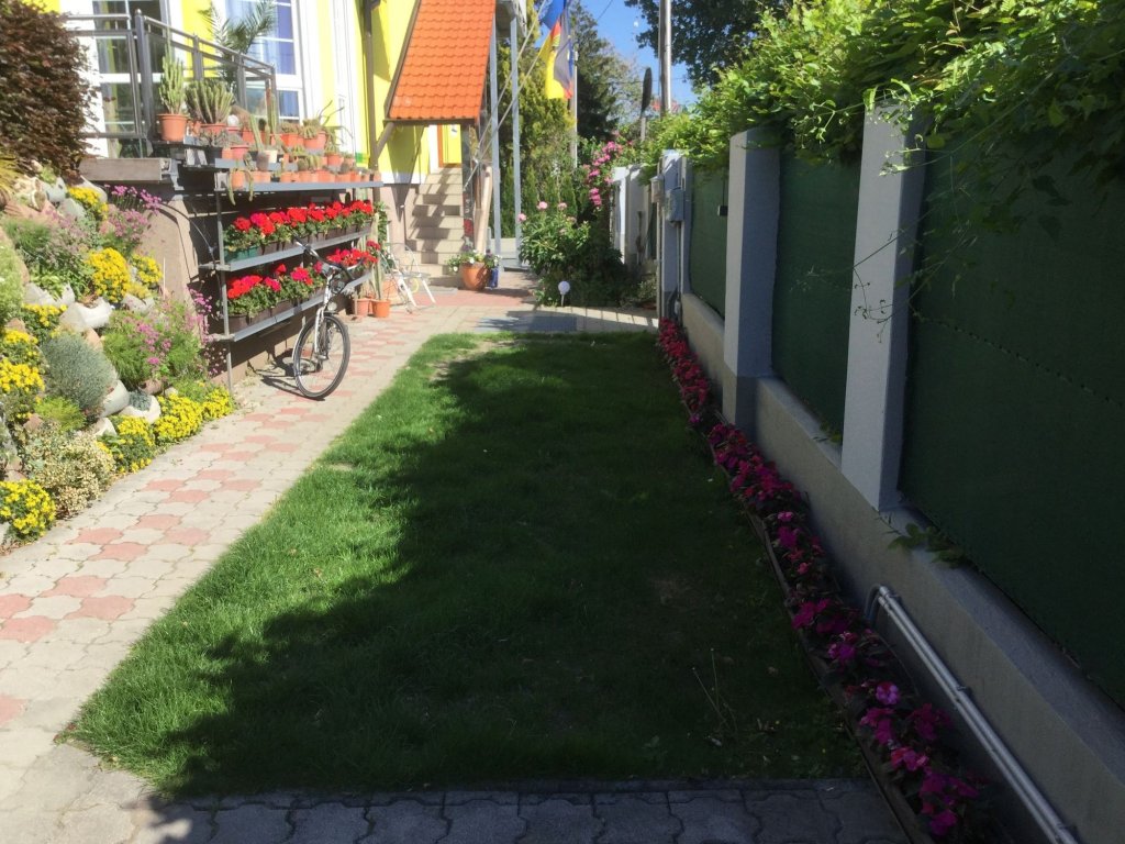 Фото Ajo Apartments Danube