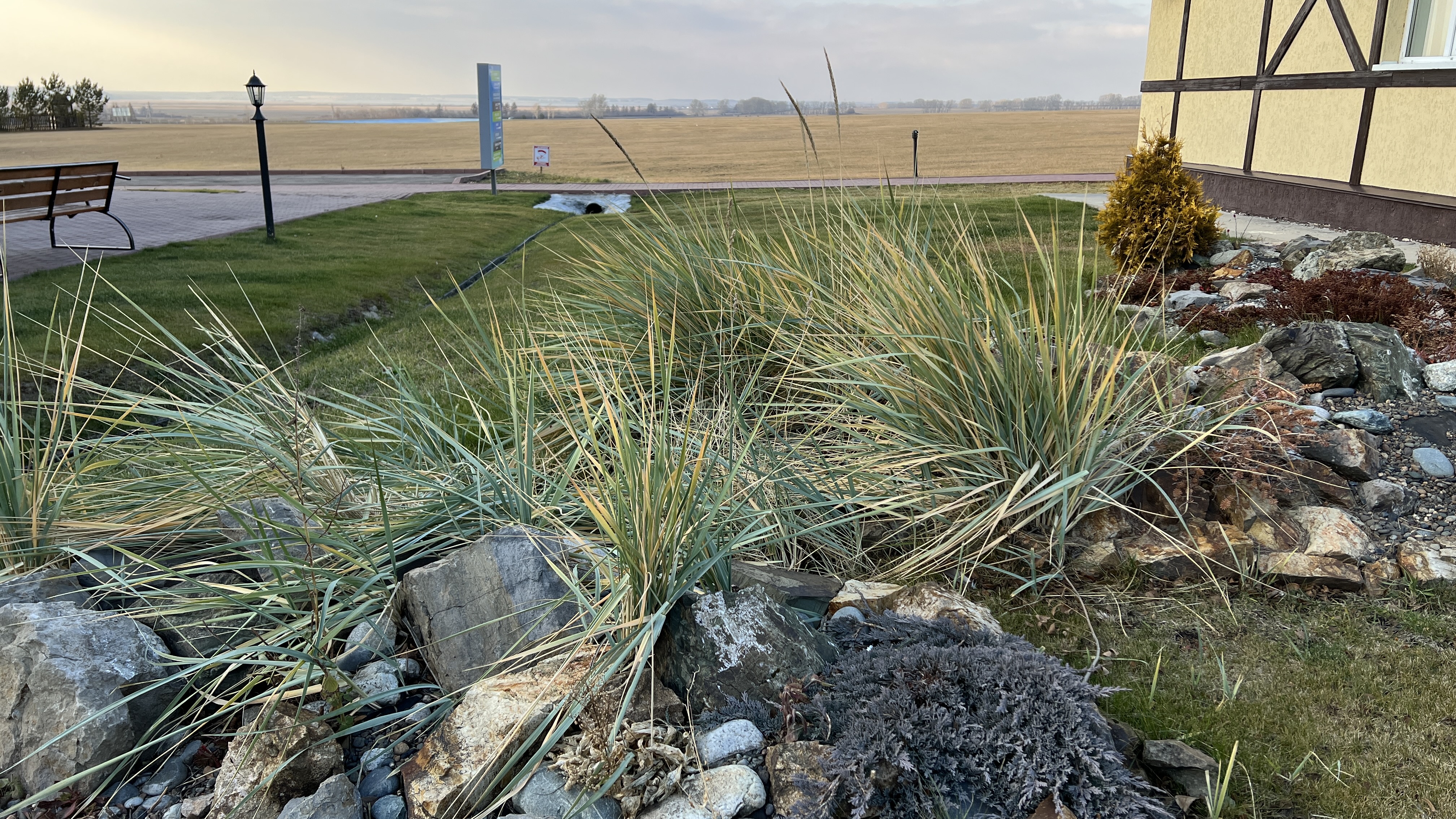 Фото Аэродром Танай