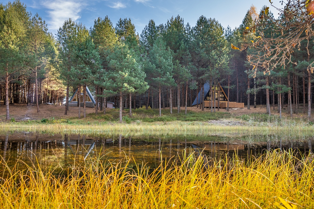 Фото КэмпФалькон