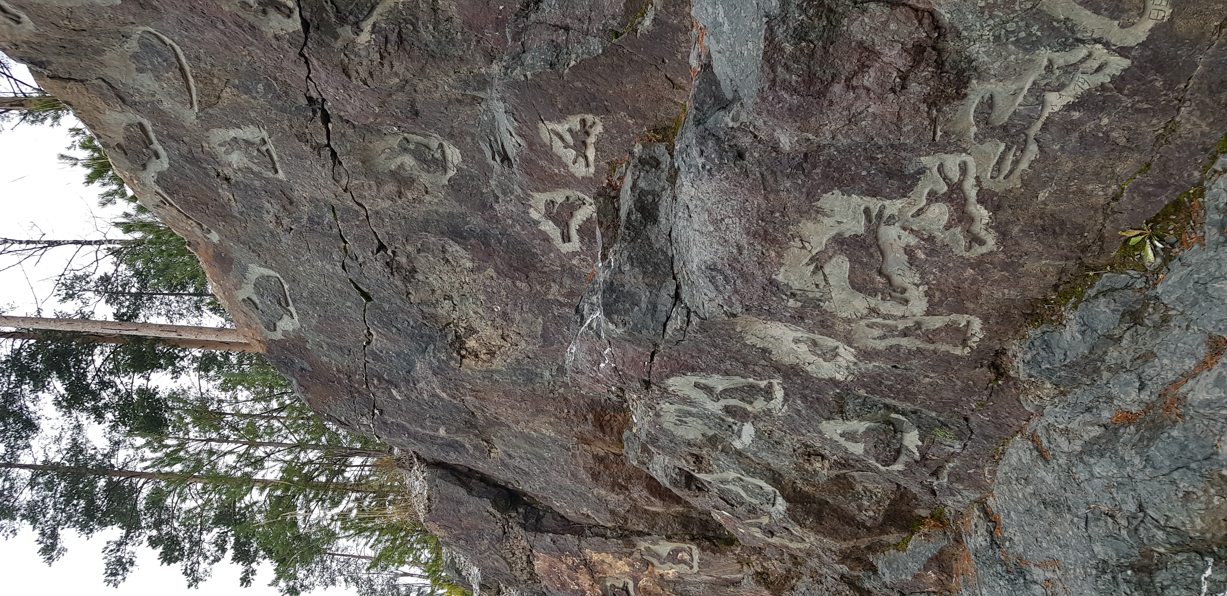 Фото Авиаретро