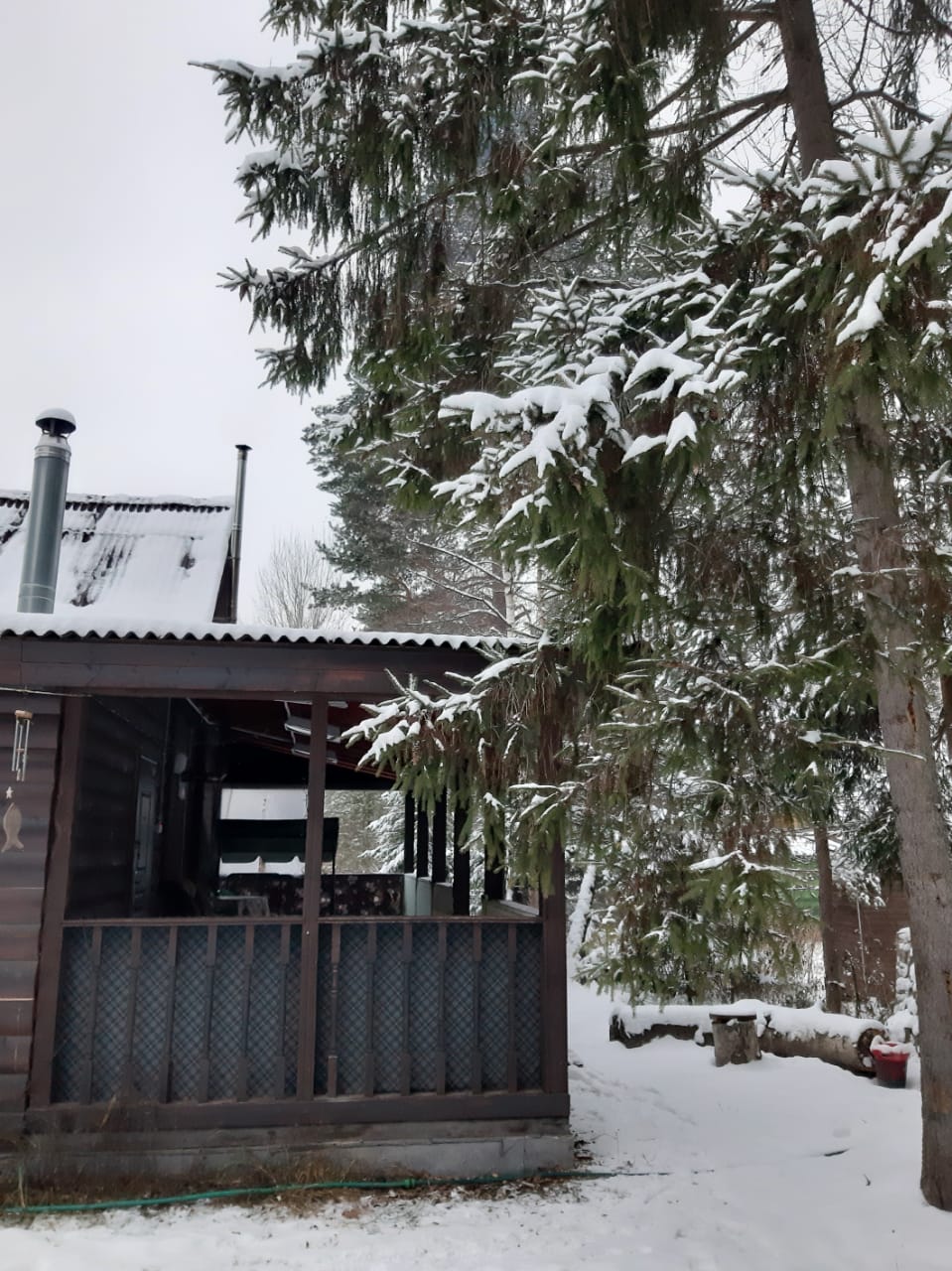 Фото Будда дом