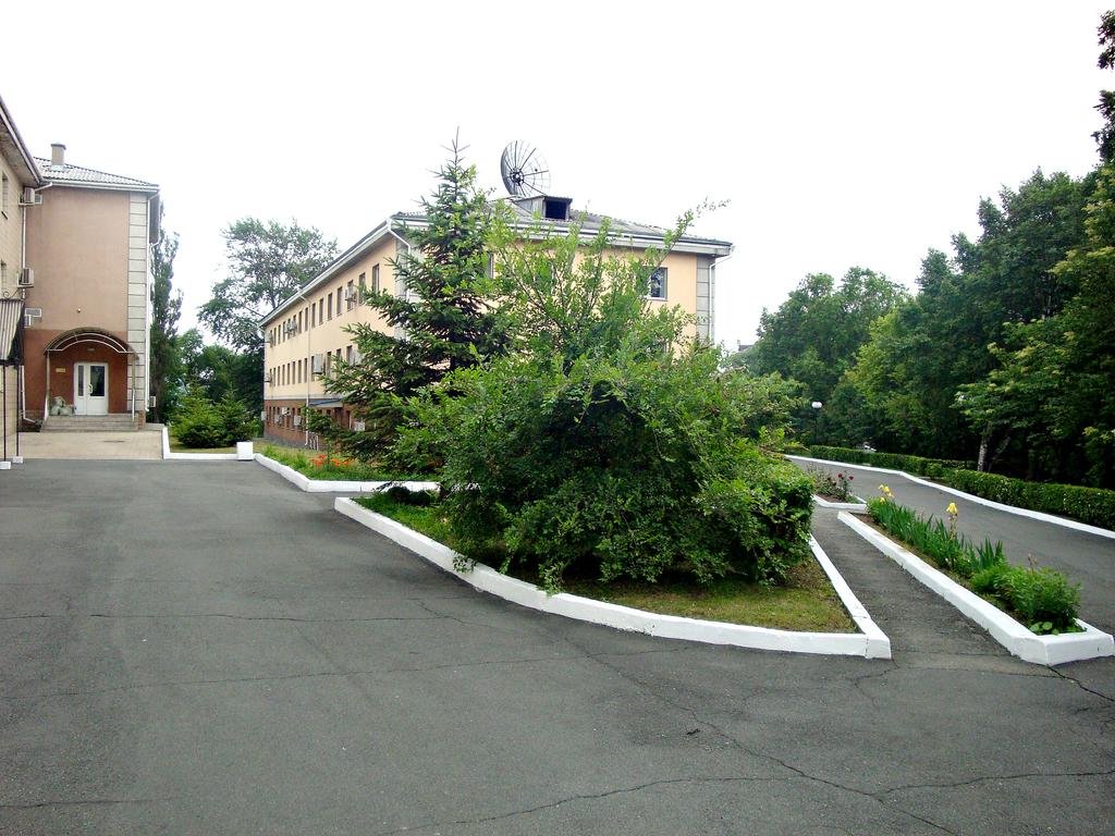 Фото Надежда