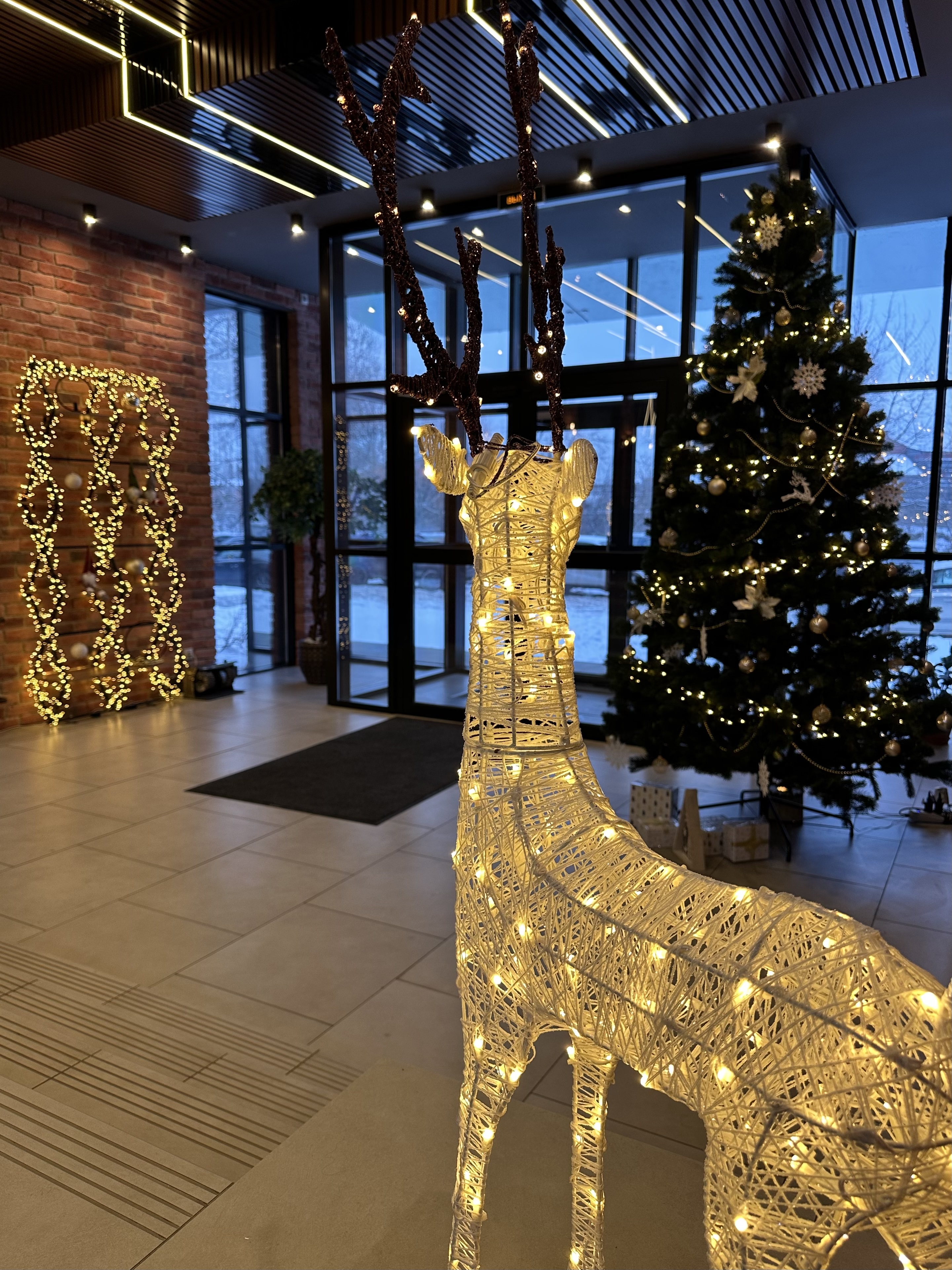 Фото Балтийская