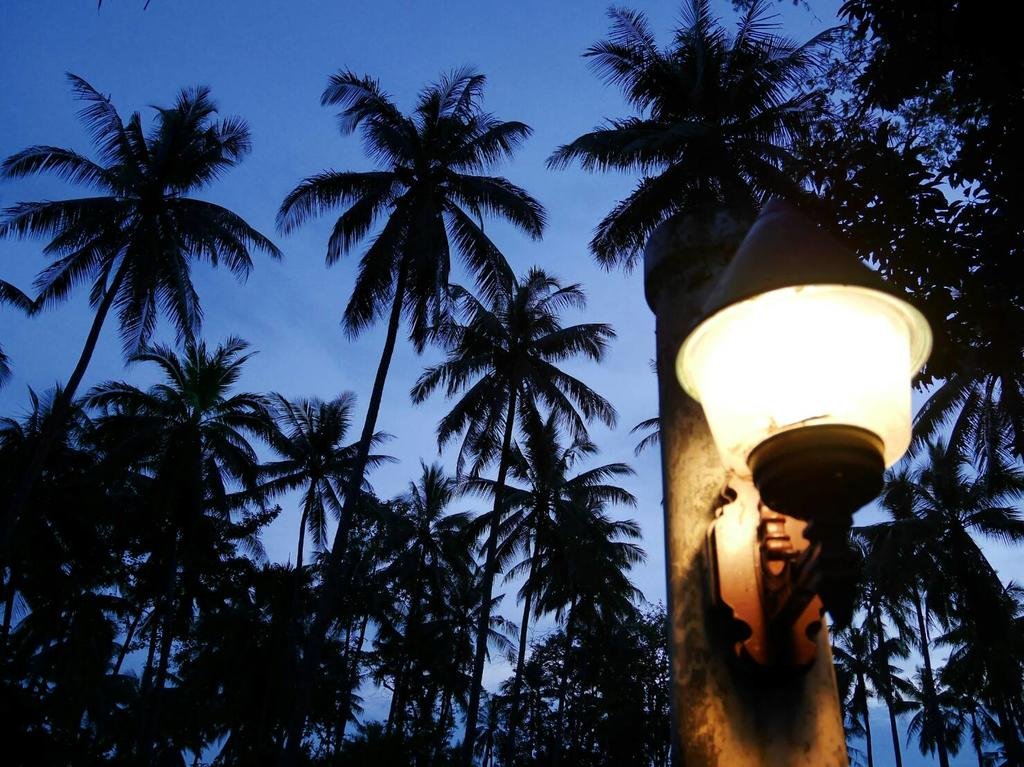 Фото Arcadian Resort