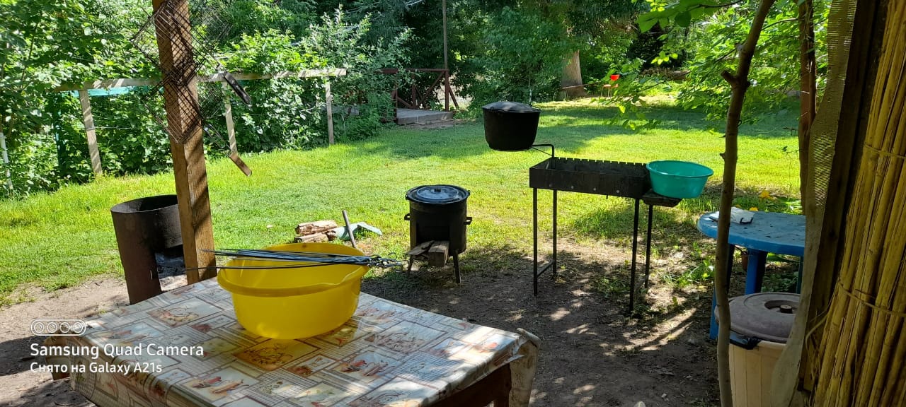 Фото Камышовый рай