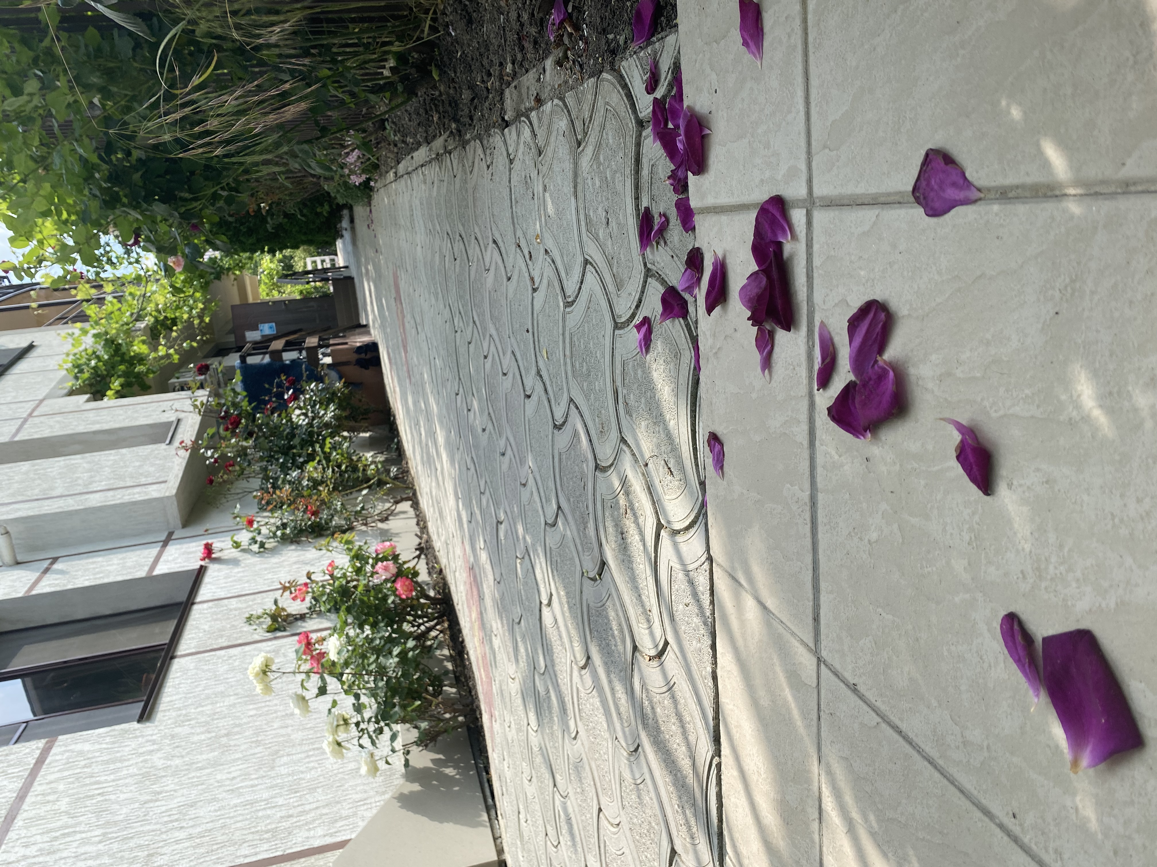 Фото Родничок