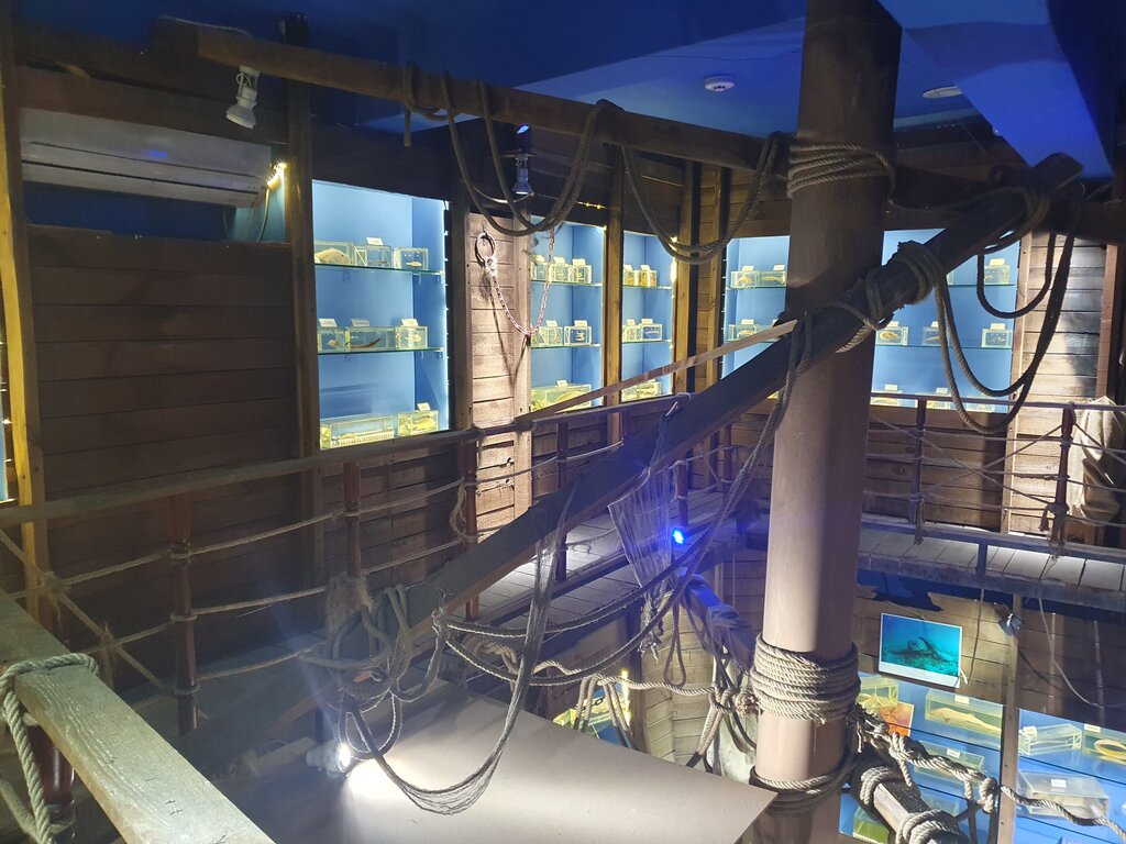 Музей Морской Биологический Музей Антальи, Муратпаша, фото