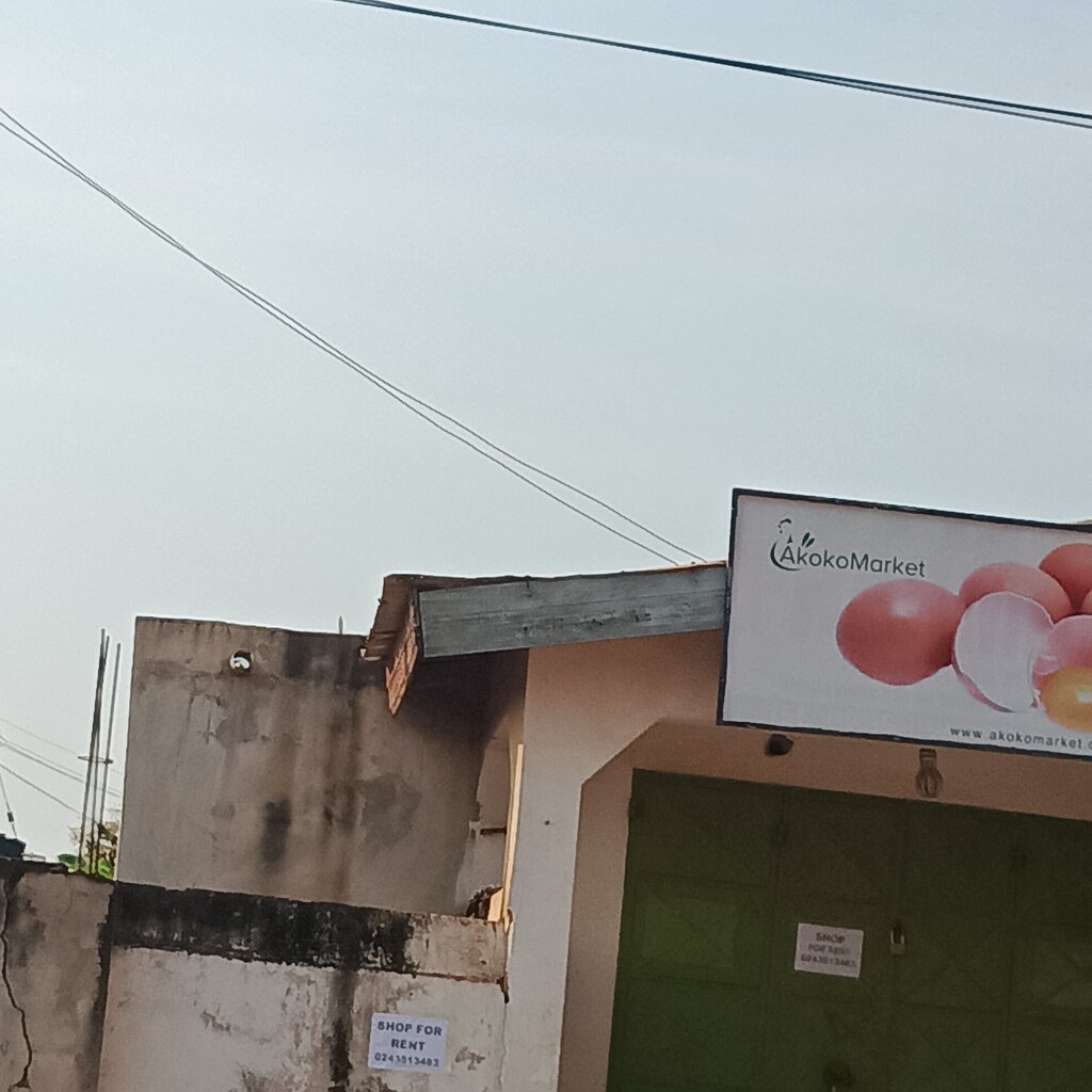 Egg and poultry meat Akoko Market, Earth, photo