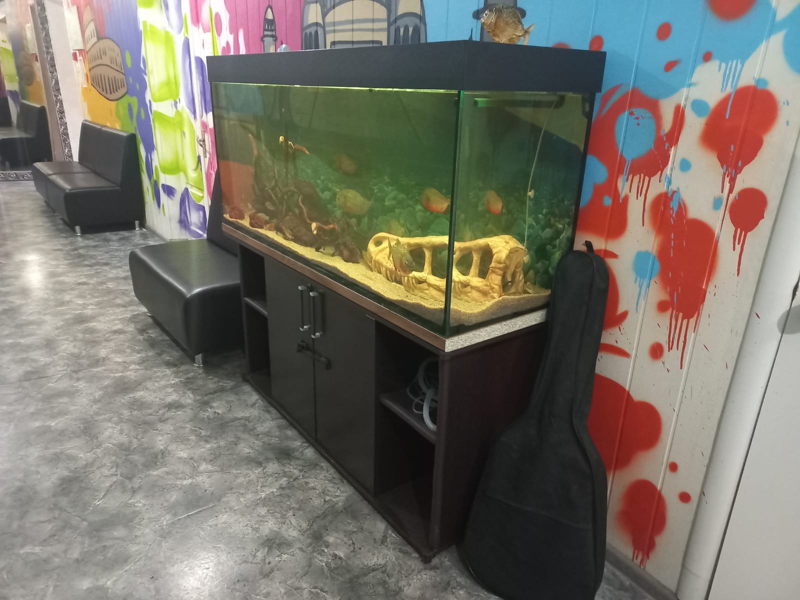 Фото Галерея