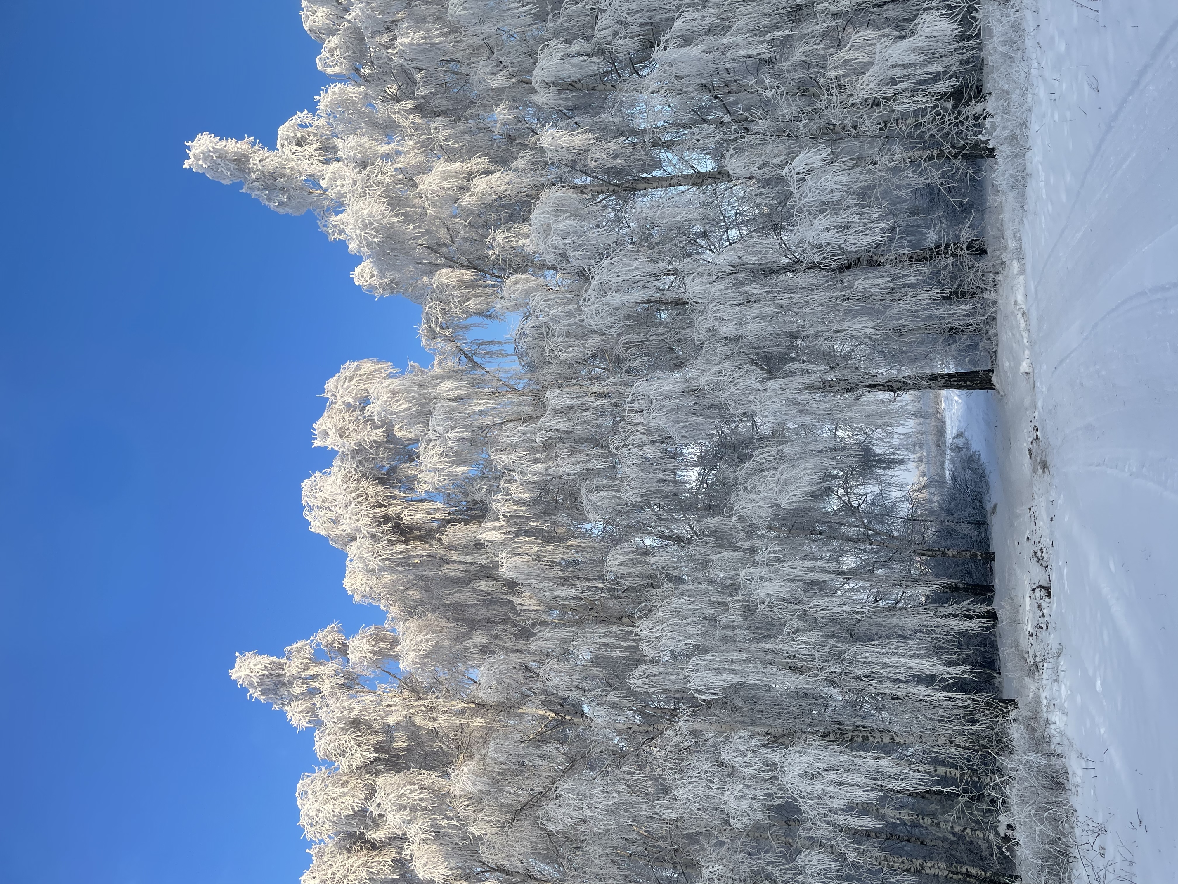 Фото Урман Кэмп