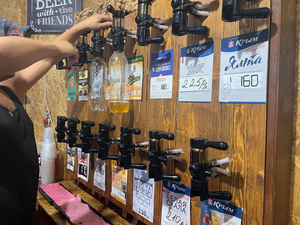 Фото Кактус