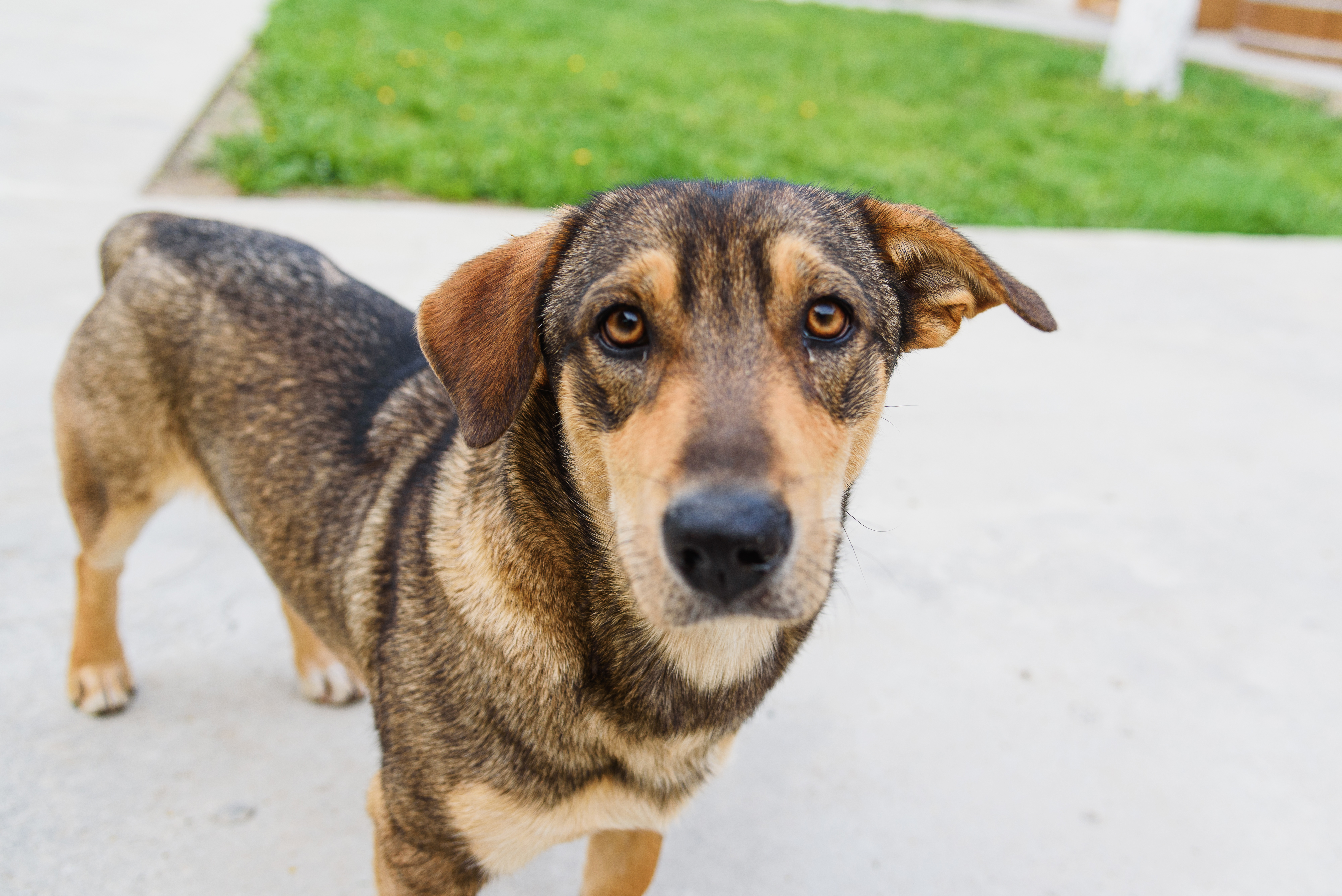 Фото Дети гор